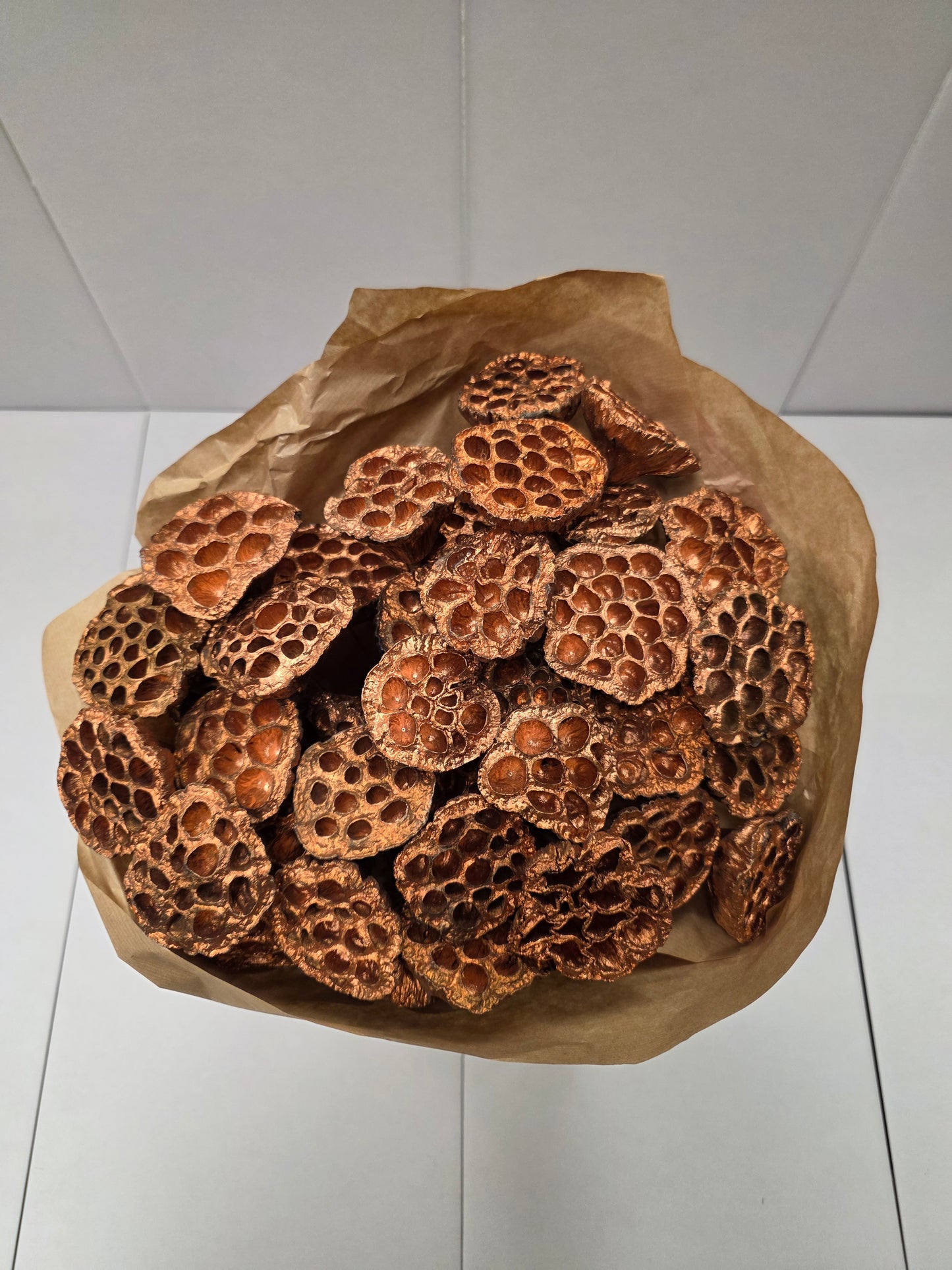 Dried Lotus Copper