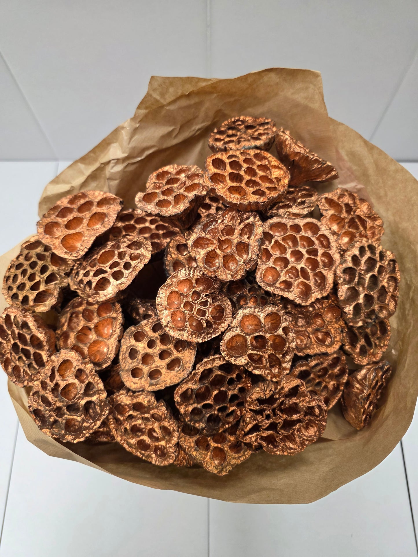 Dried Lotus Copper