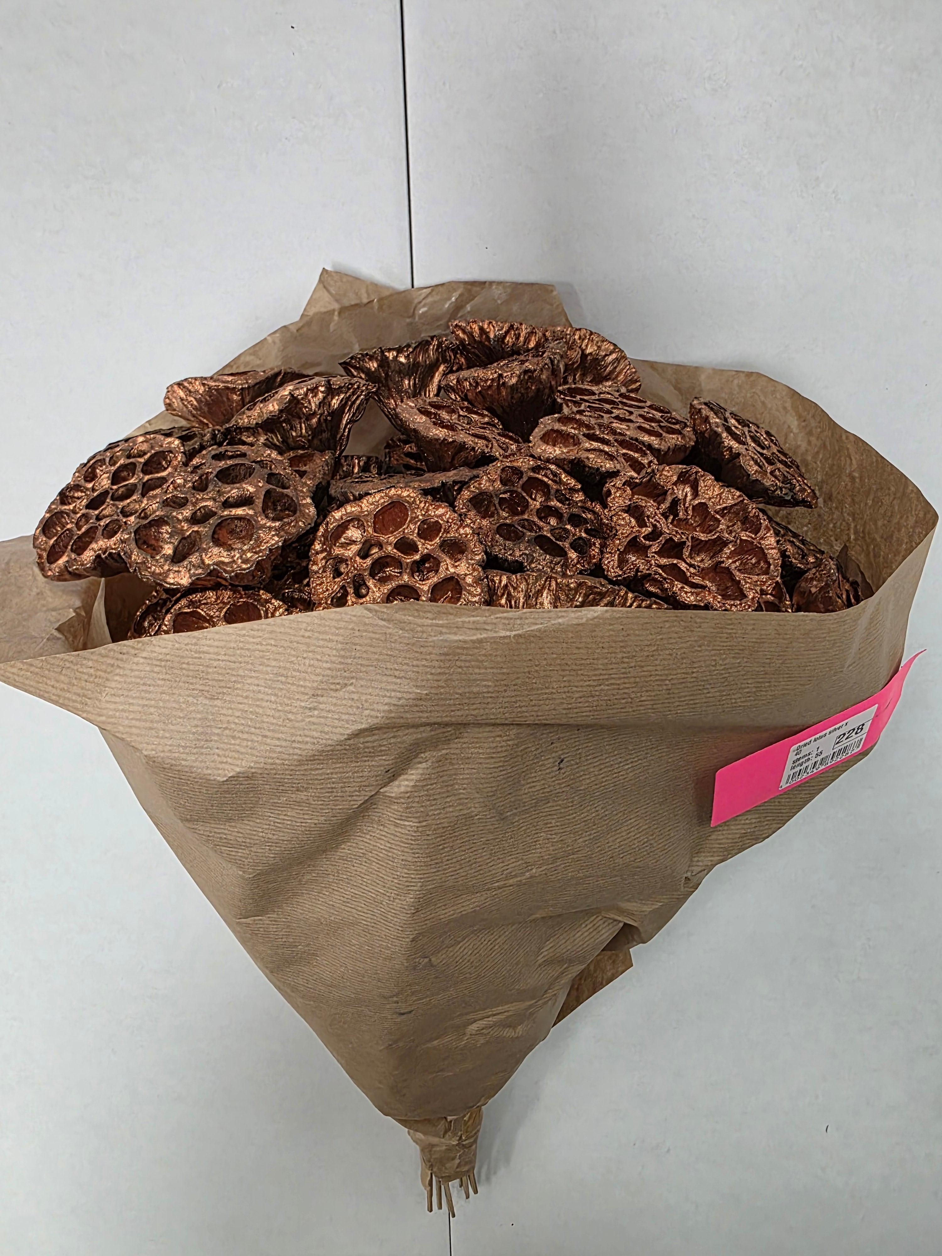 Dried Lotus Copper