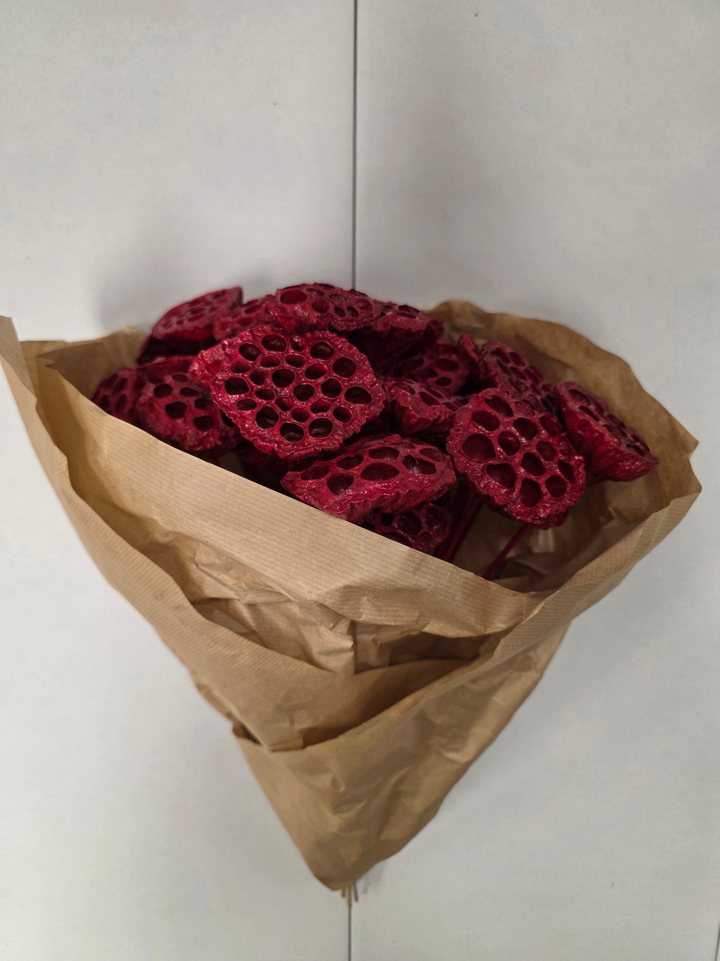 Dried Lotus Red