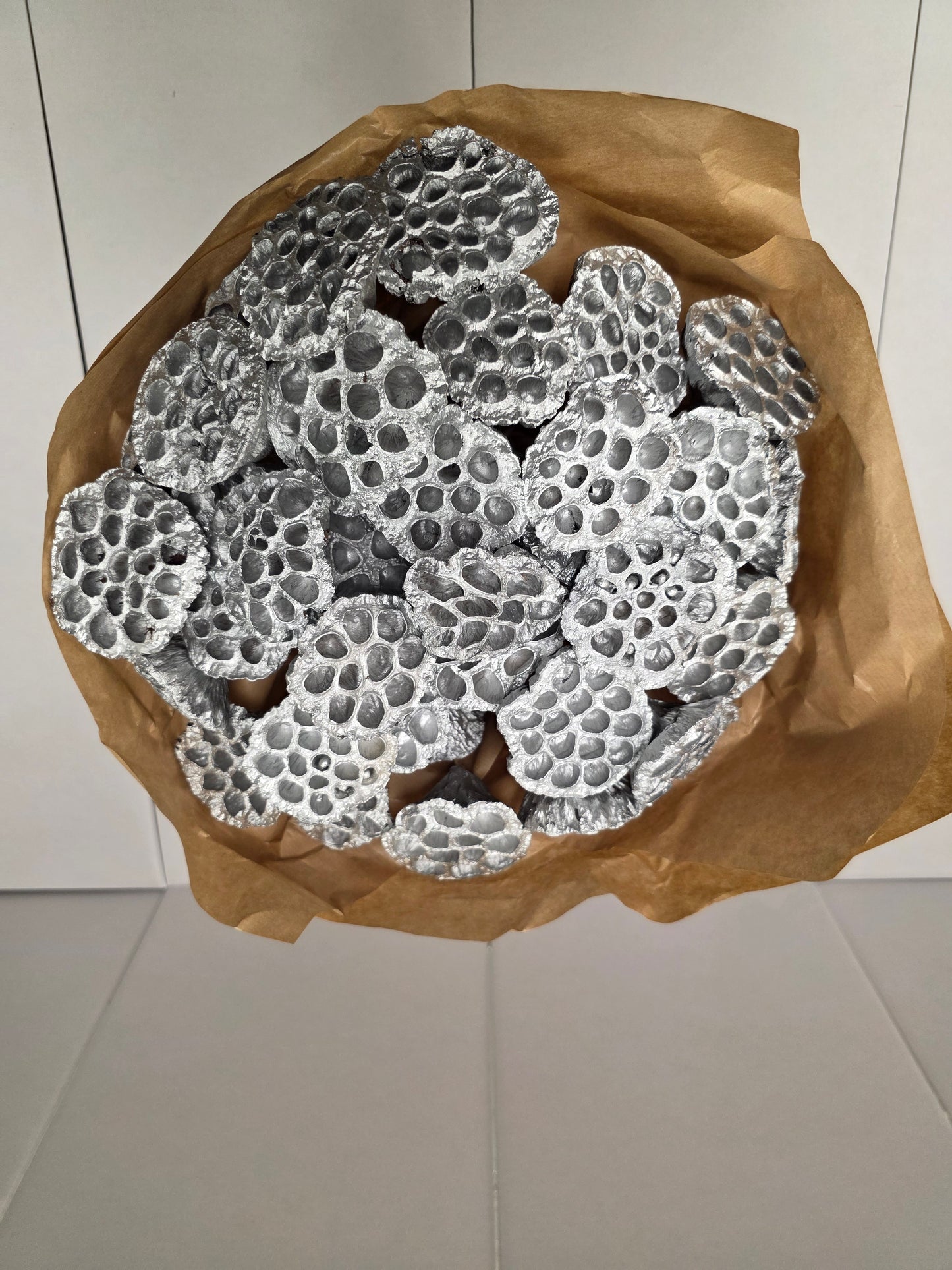 Dried Lotus Silver