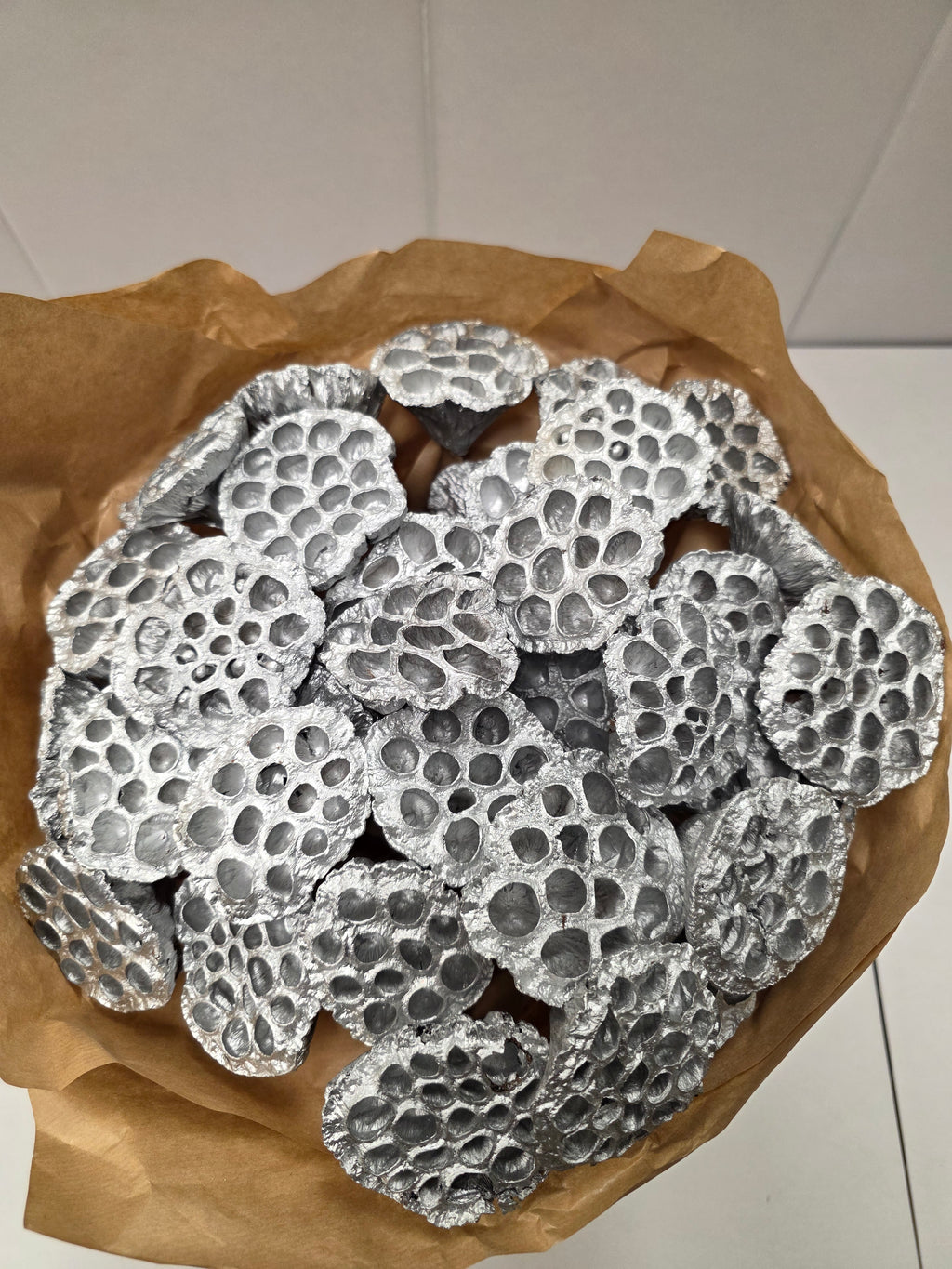 Dried Lotus Silver