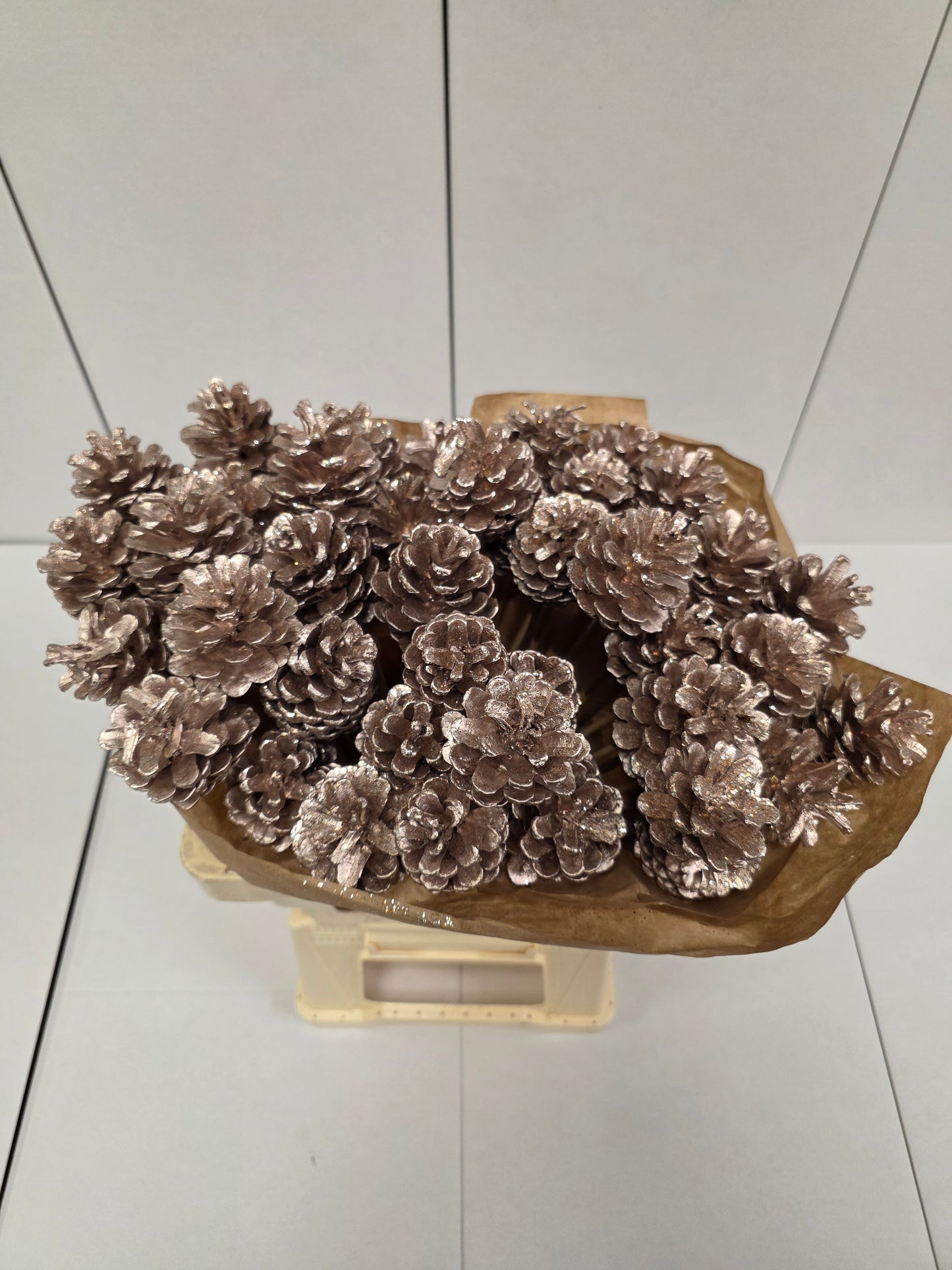 Dried Pine Cone Champange + Gli