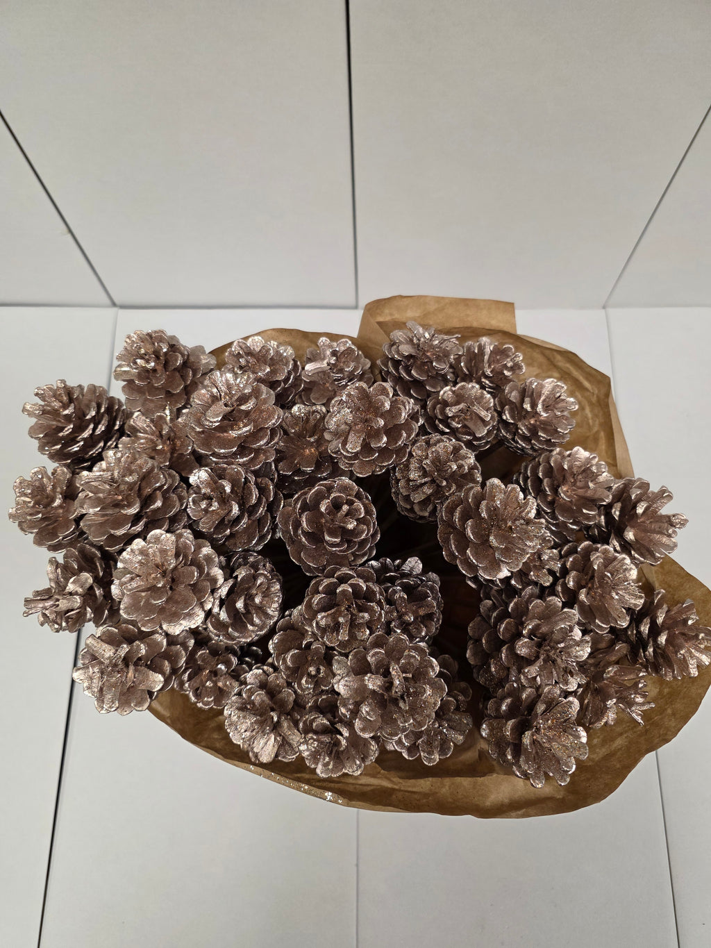 Dried Pine Cone Champange + Gli