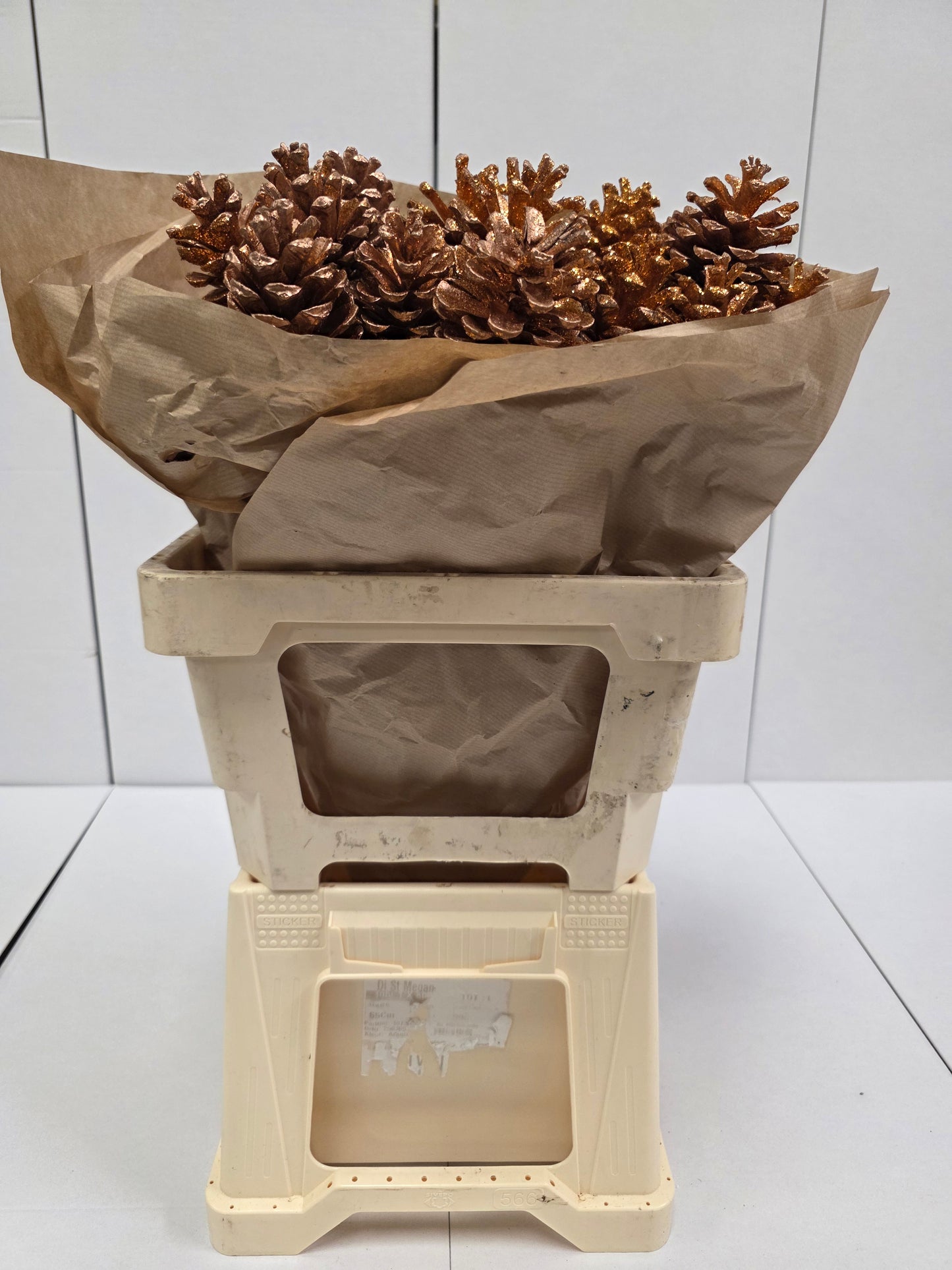 Dried Pine Cone Copper