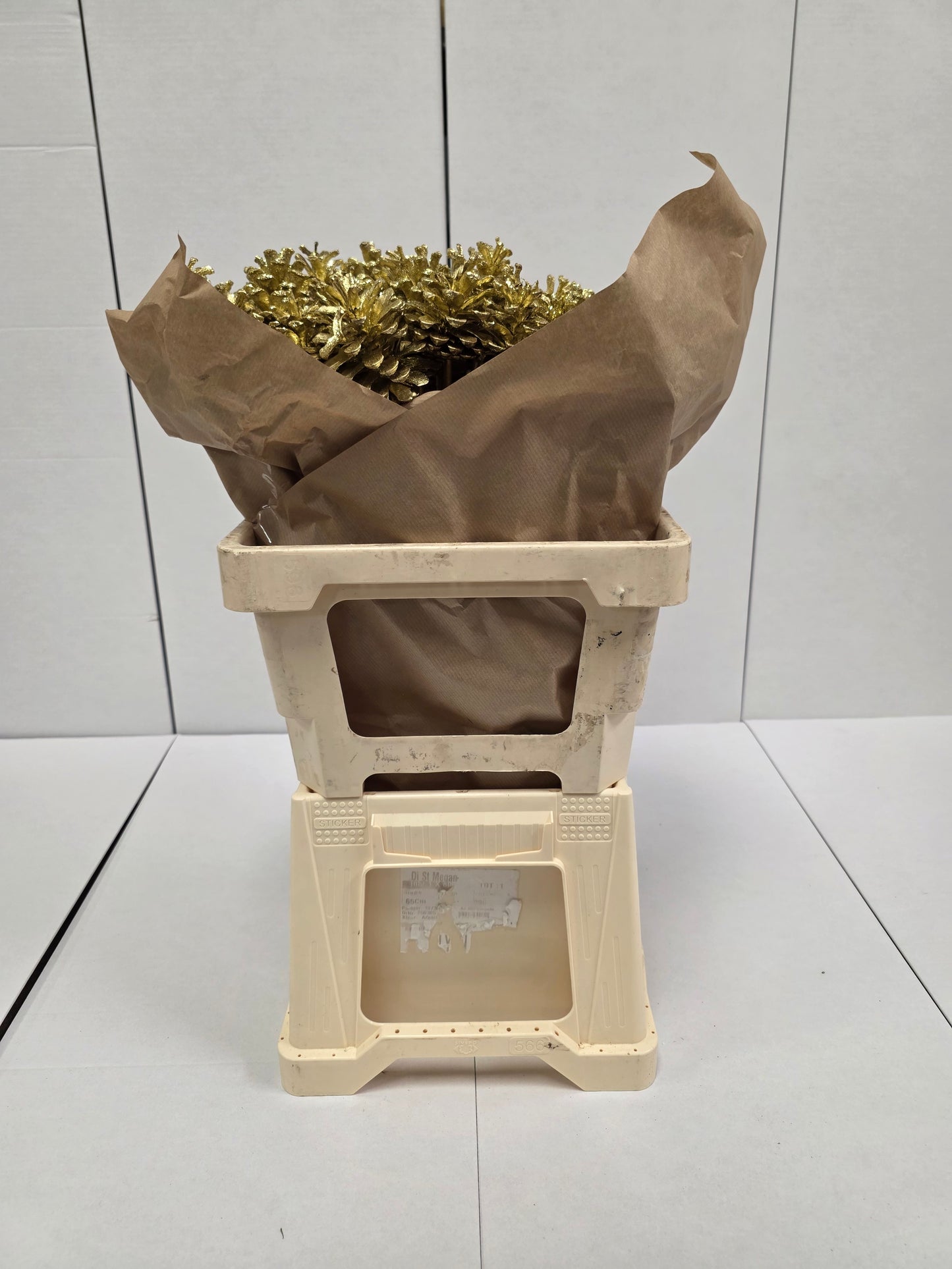 Dried Pine Cone Gold Glitter