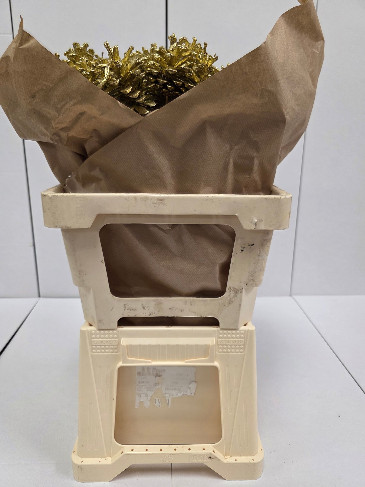 Dried Pine Cone Gold Glitter