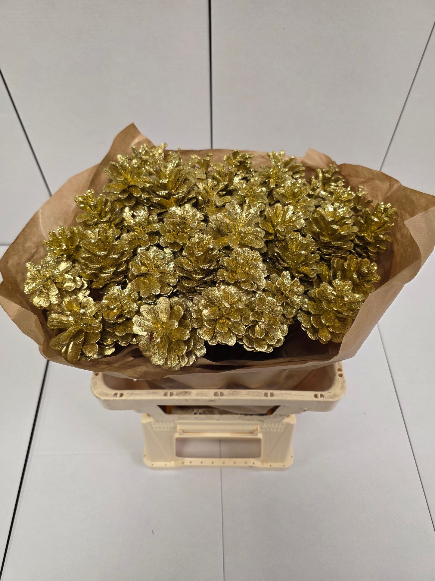 Dried Pine Cone Gold Glitter