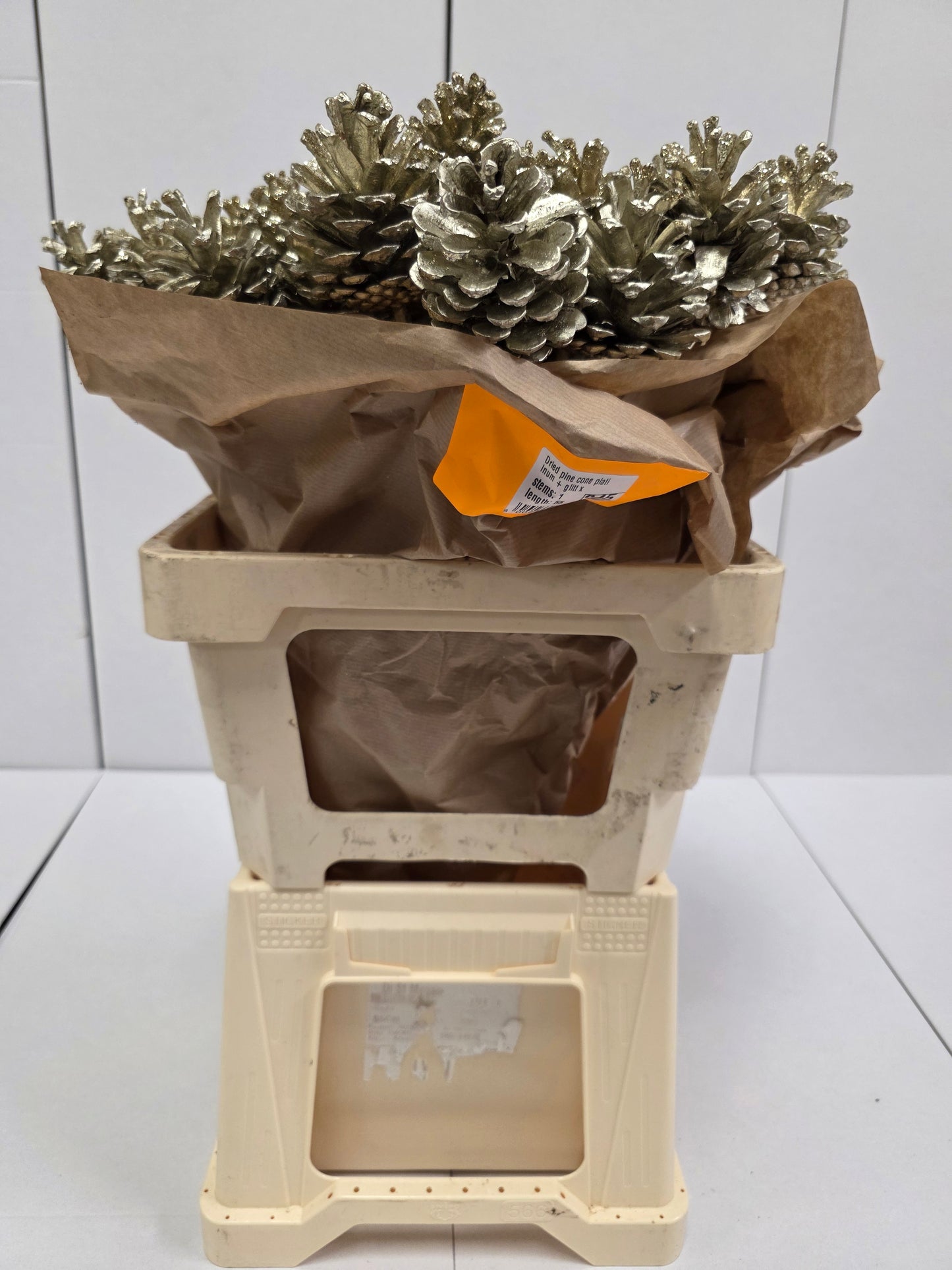 Dried Pine Cone Platinum + Glitt