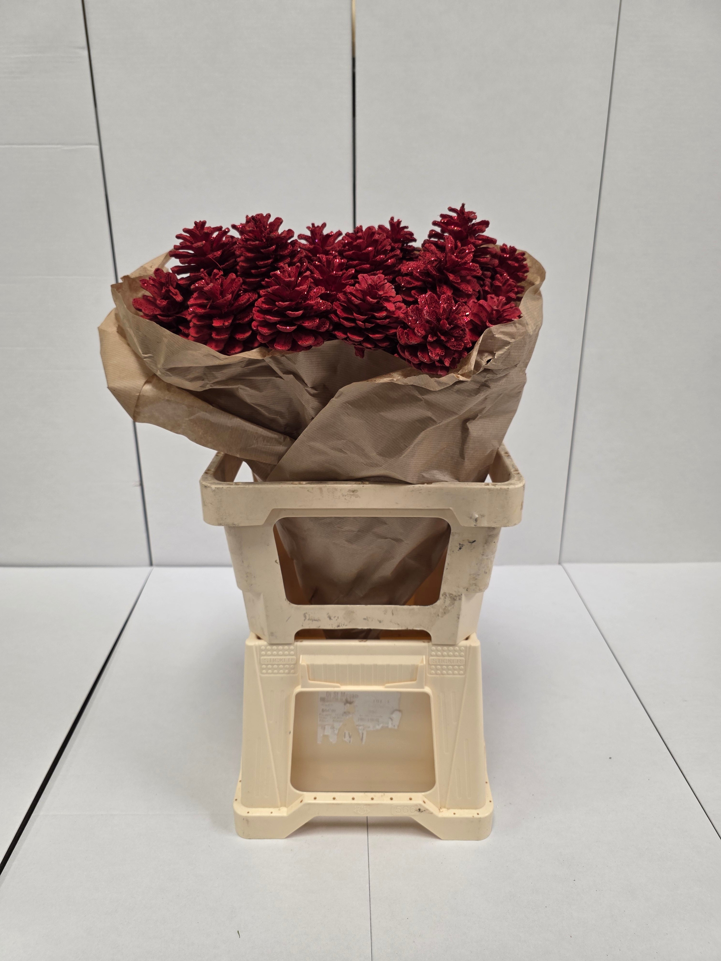 Dried Pine Cone Red Glitter