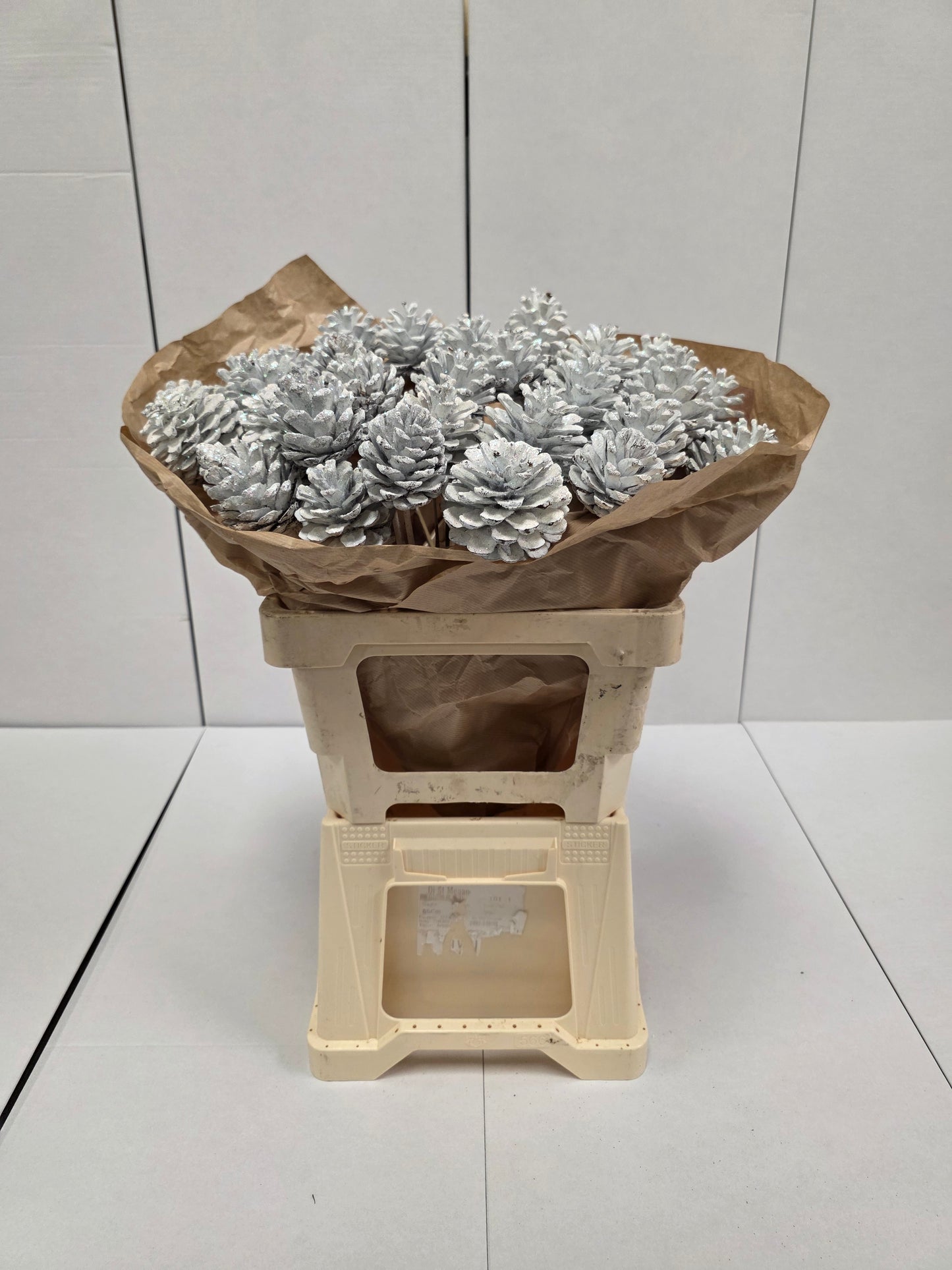 Dried Pine Cone White  Gold