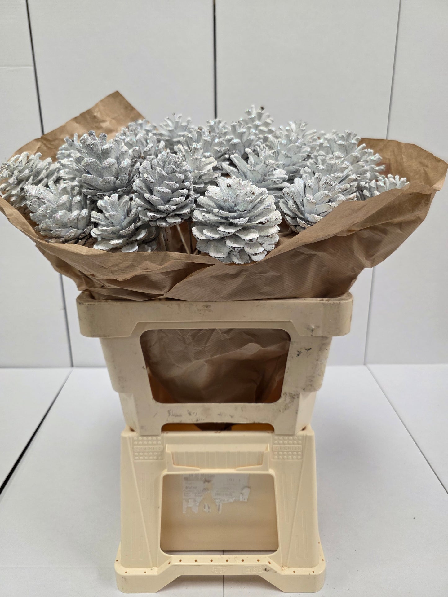 Dried Pine Cone White  Gold