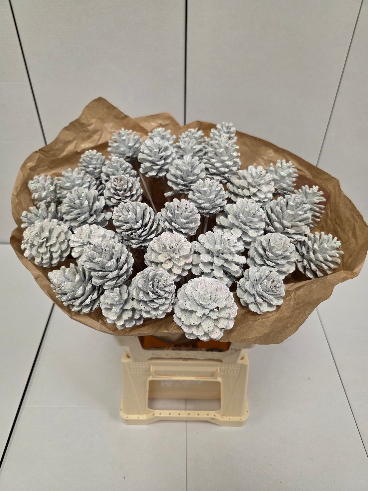 Dried Pine Cone White  Gold