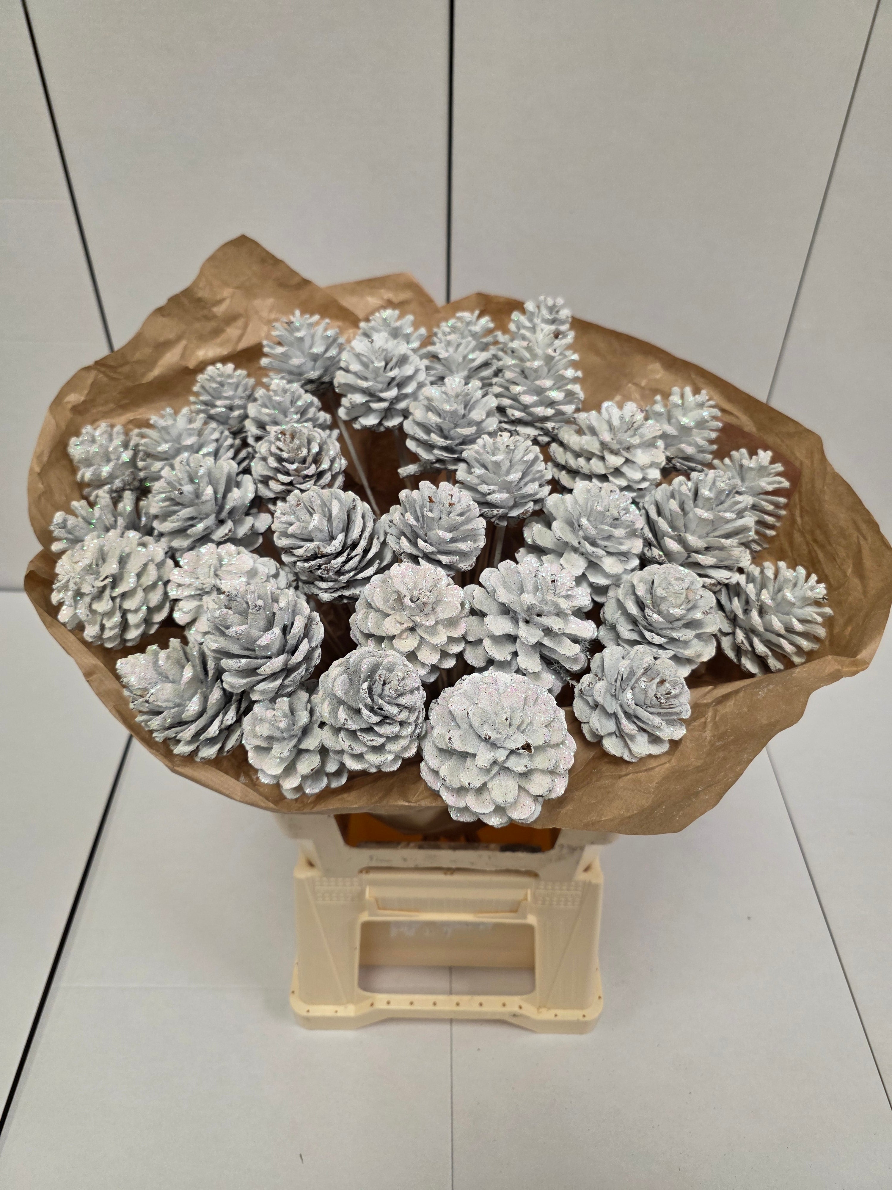 Dried Pine Cone White  Gold