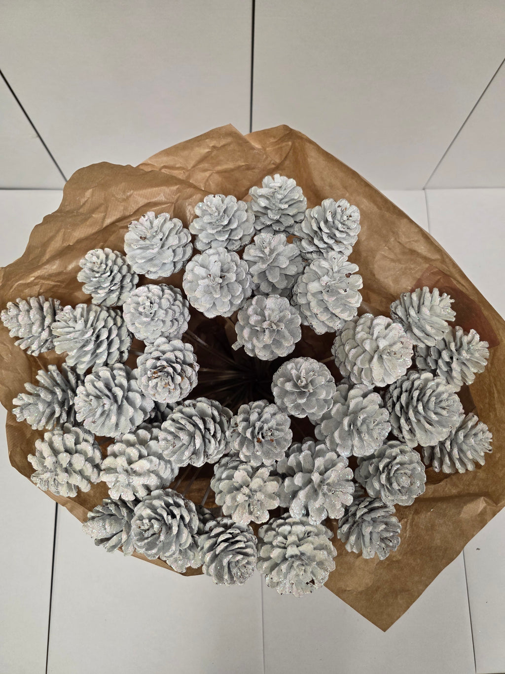Dried Pine Cone White  Gold