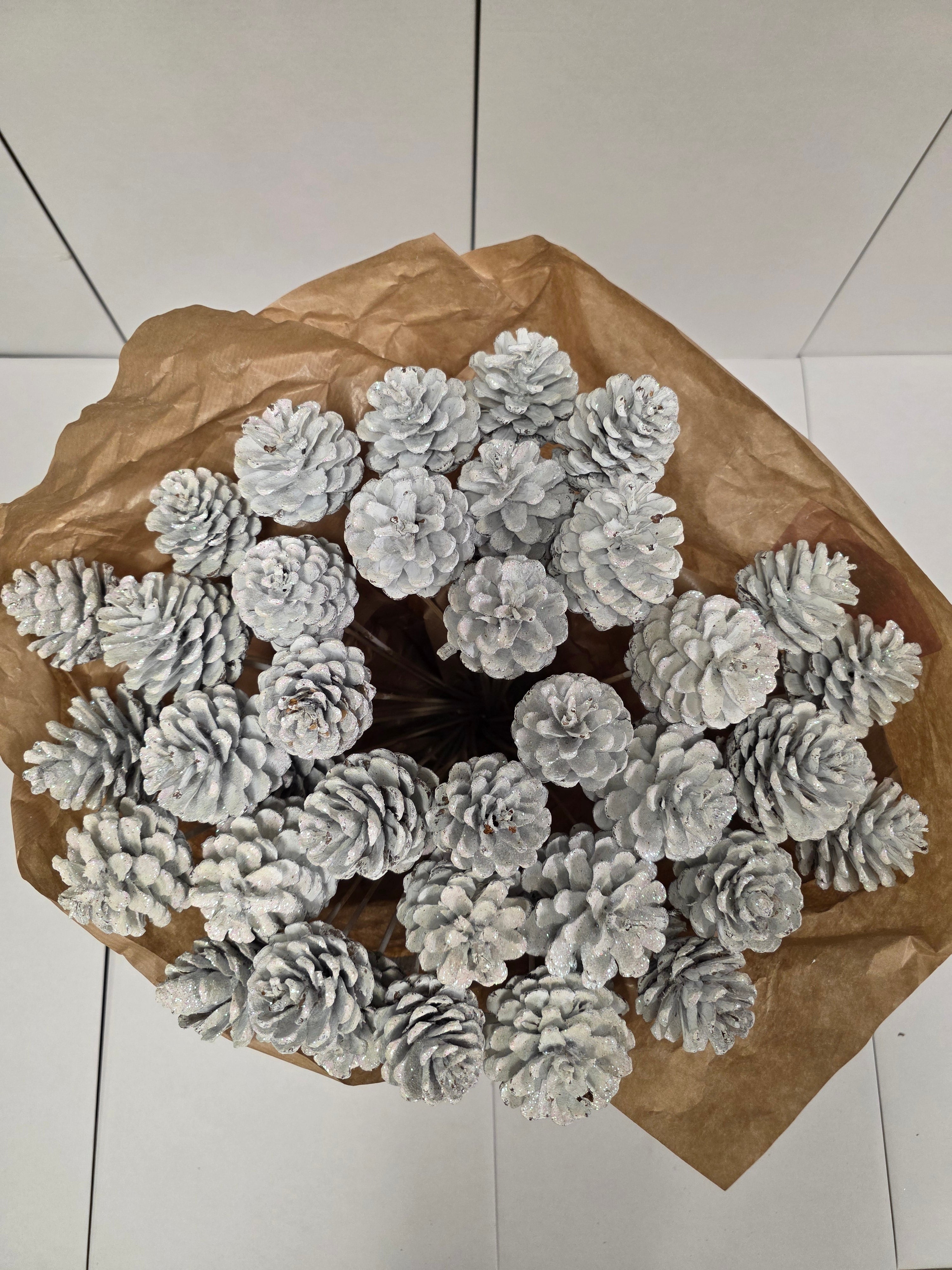 Dried Pine Cone White  Gold