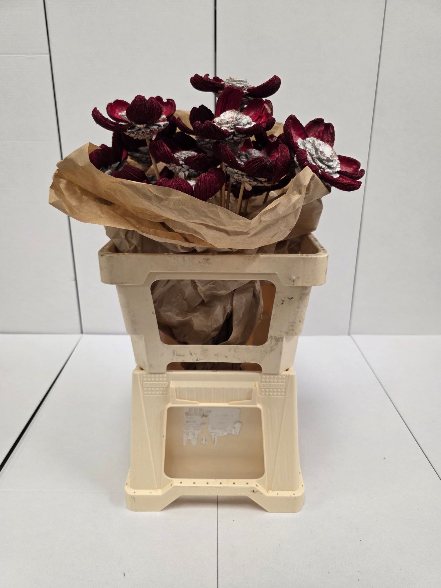 Dried Pineflower Red-silver