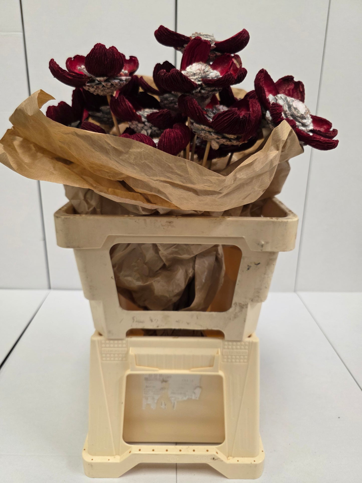 Dried Pineflower Red-silver