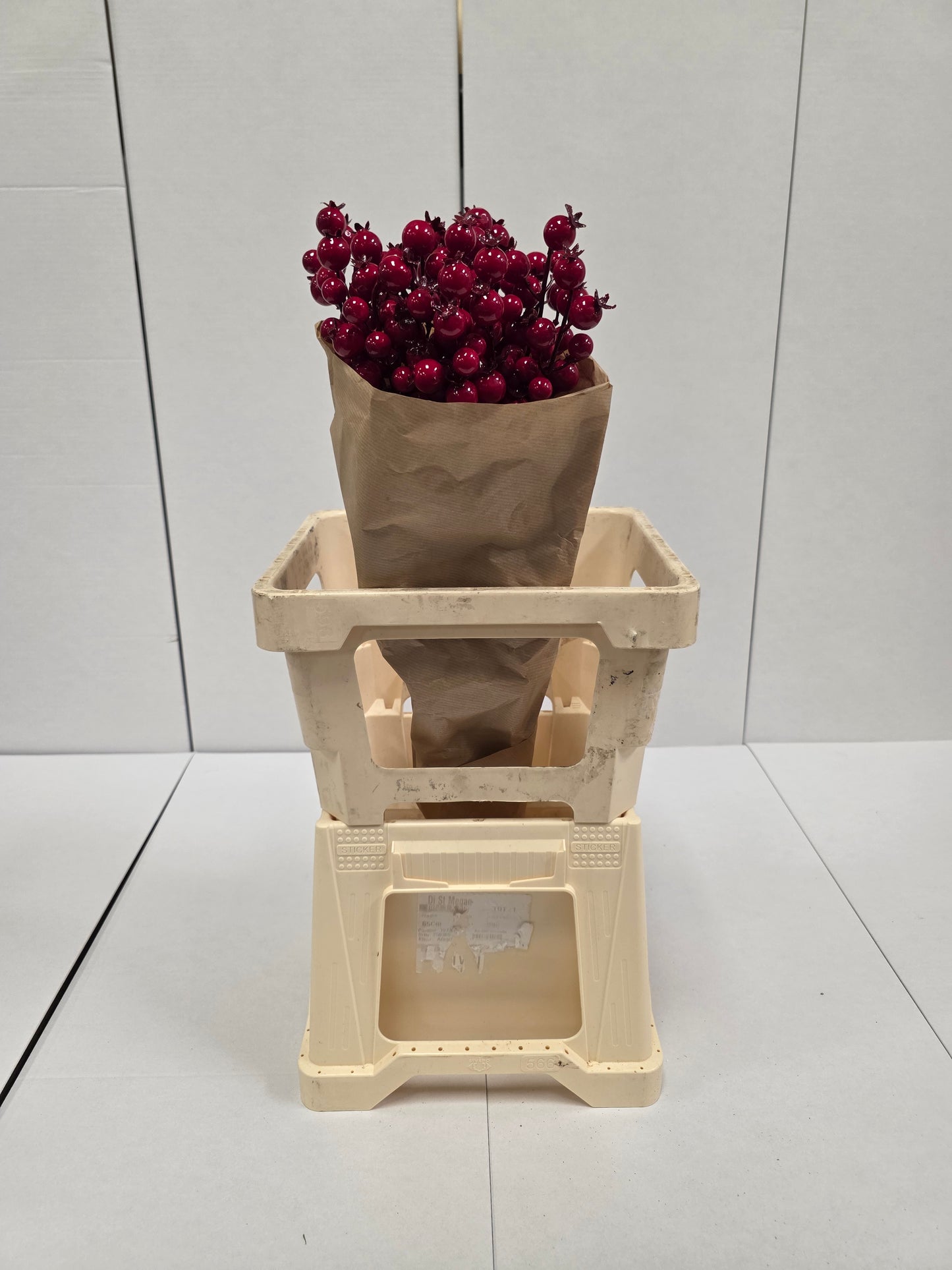 Dried Rozenbottel + Frosted