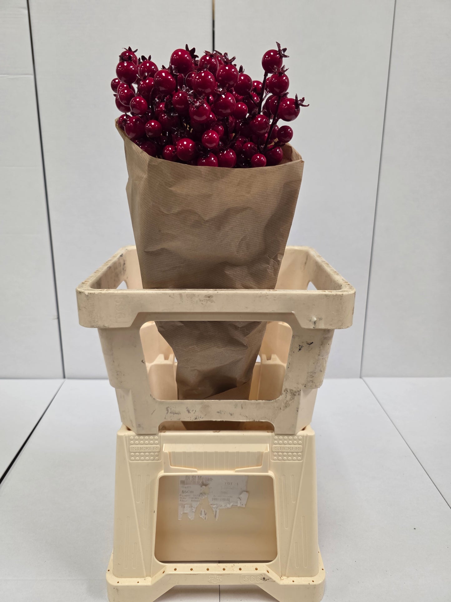 Dried Rozenbottel + Frosted