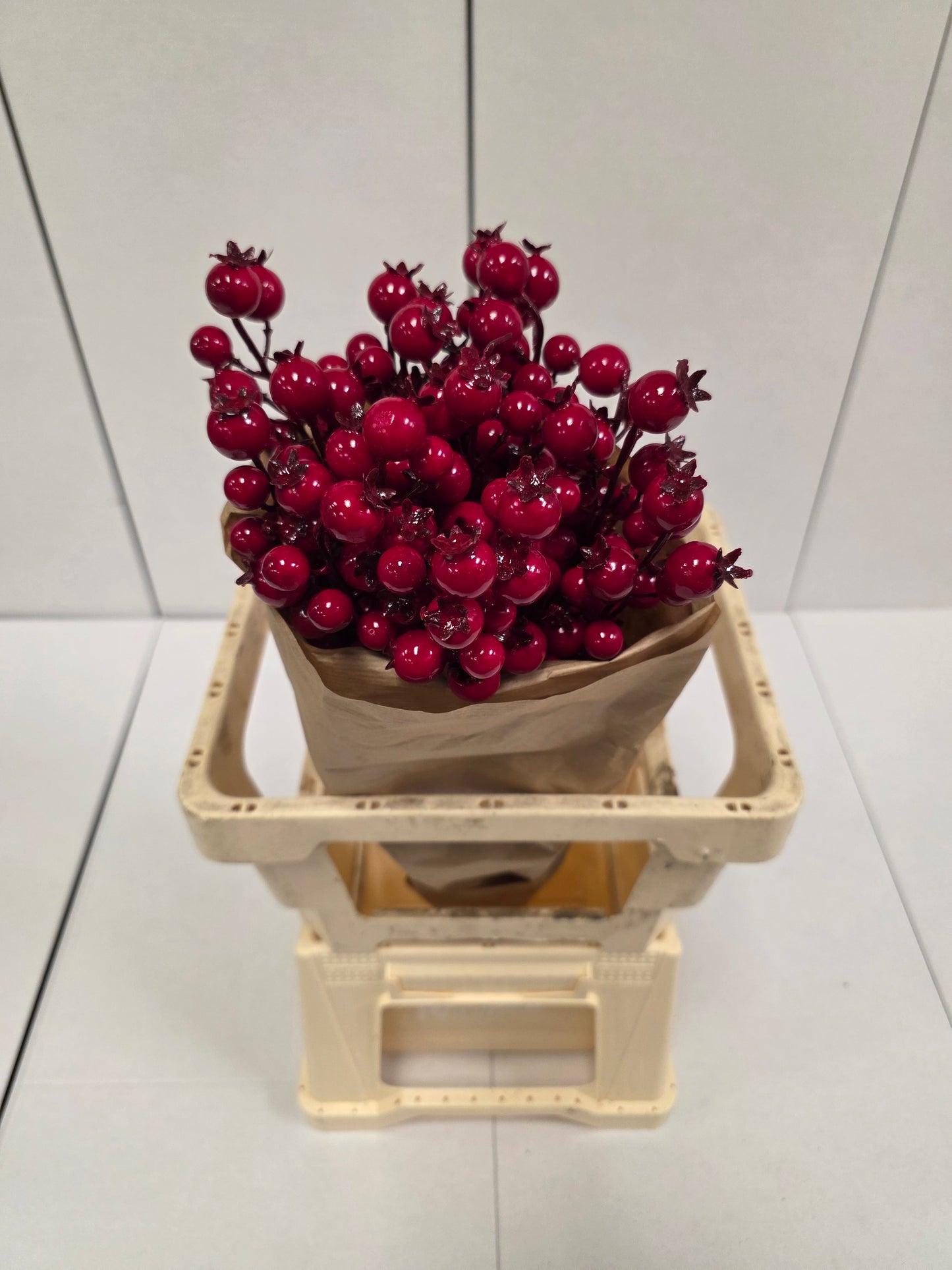 Dried Rozenbottel + Frosted