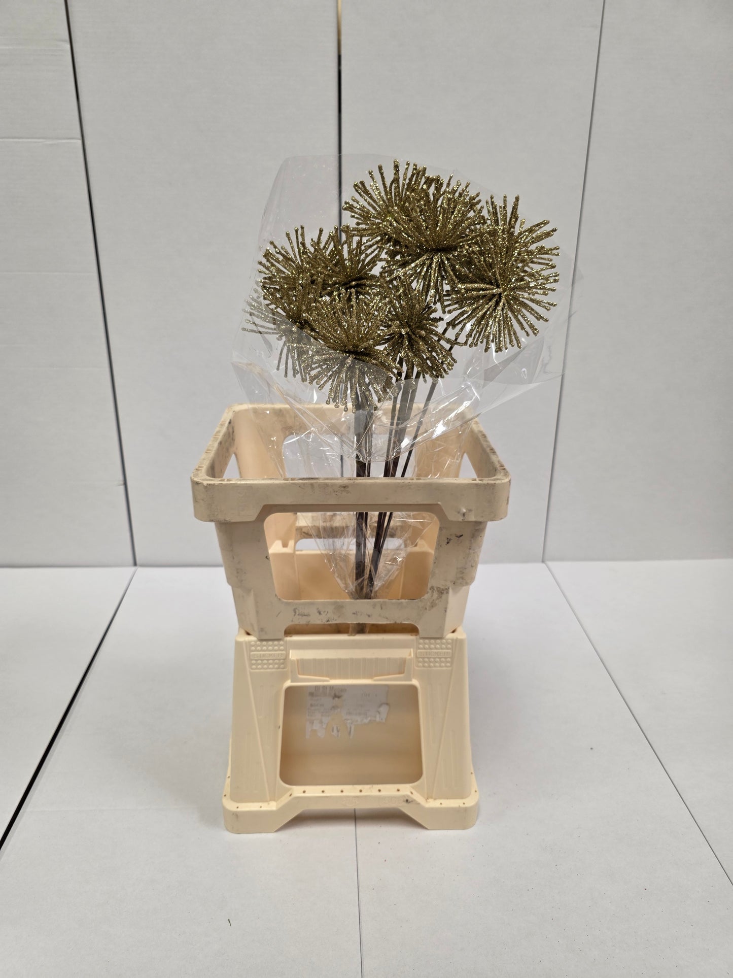 Dried Spider Ball Gold