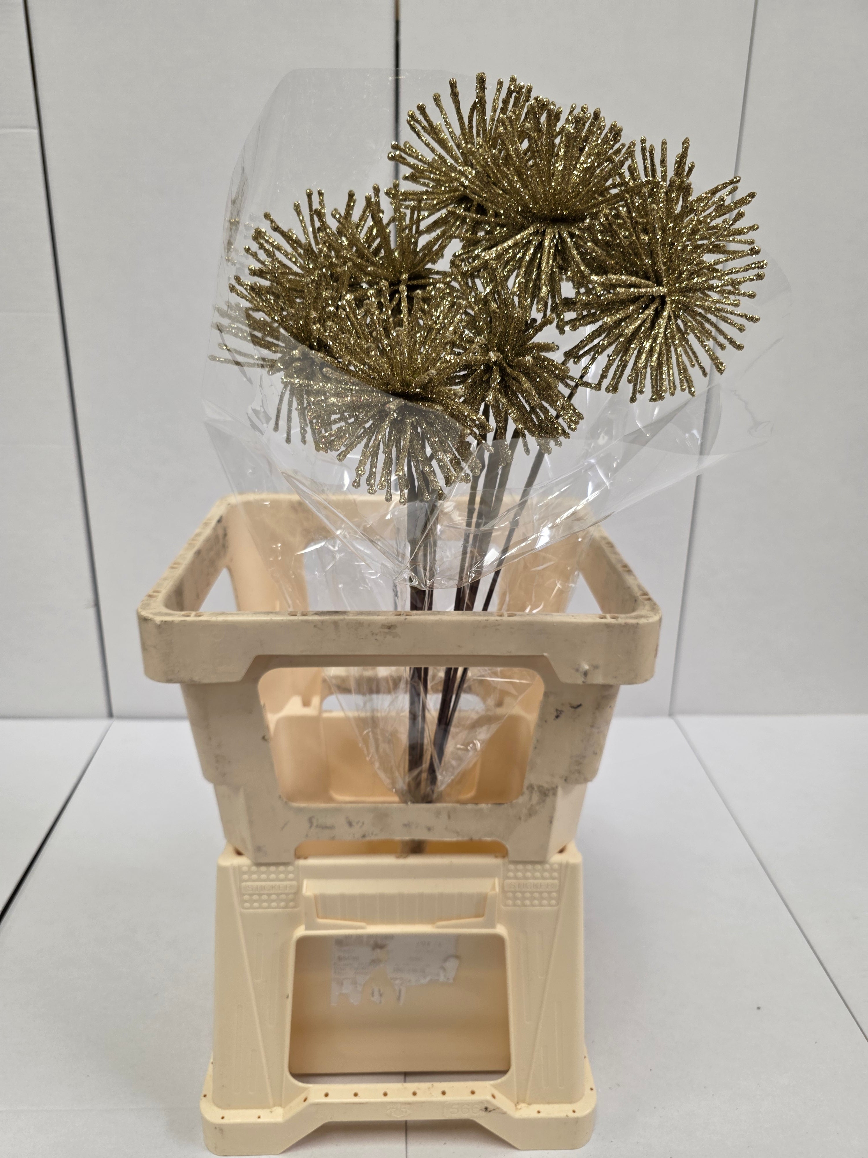 Dried Spider Ball Gold