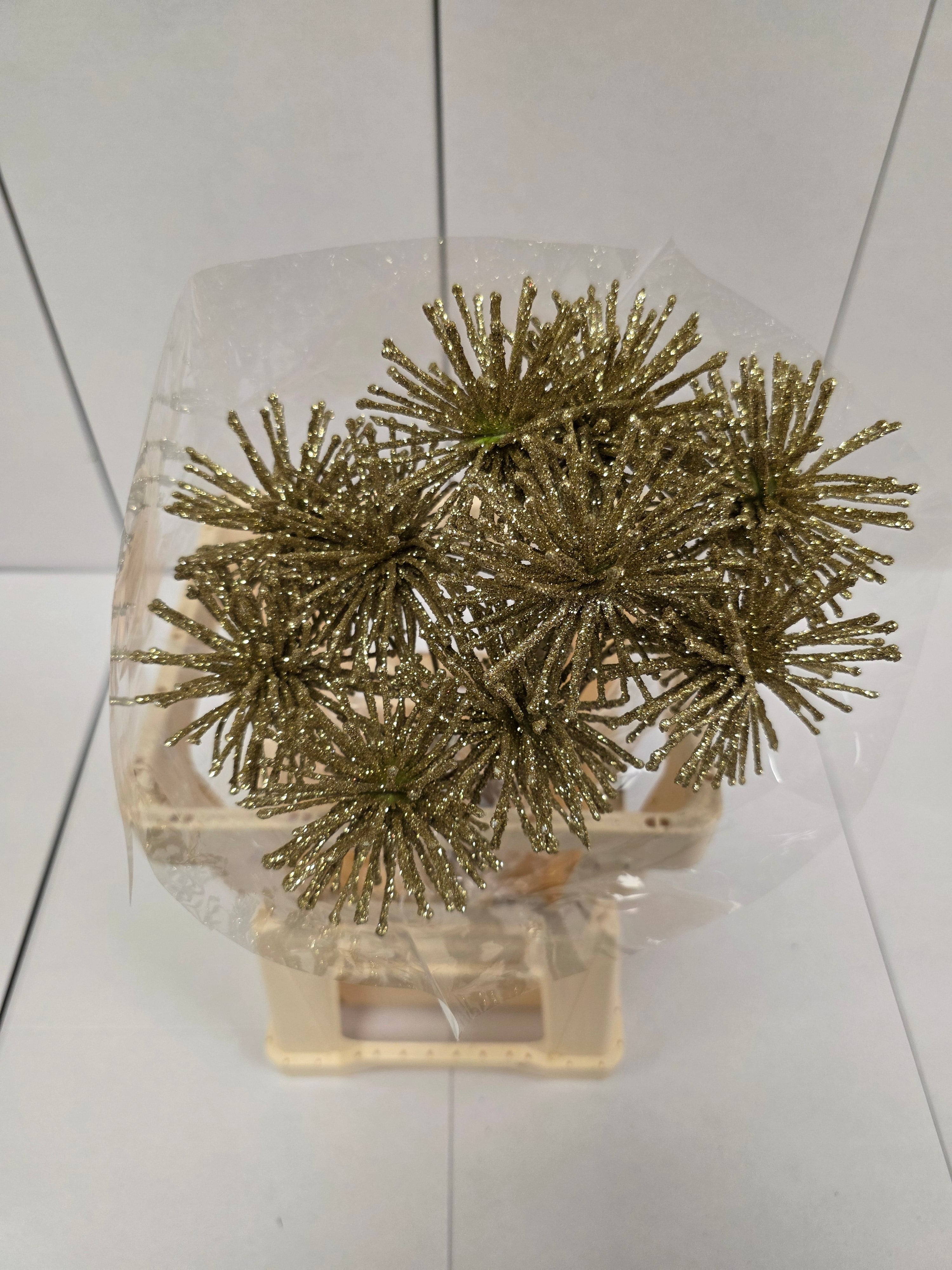 Dried Spider Ball Gold