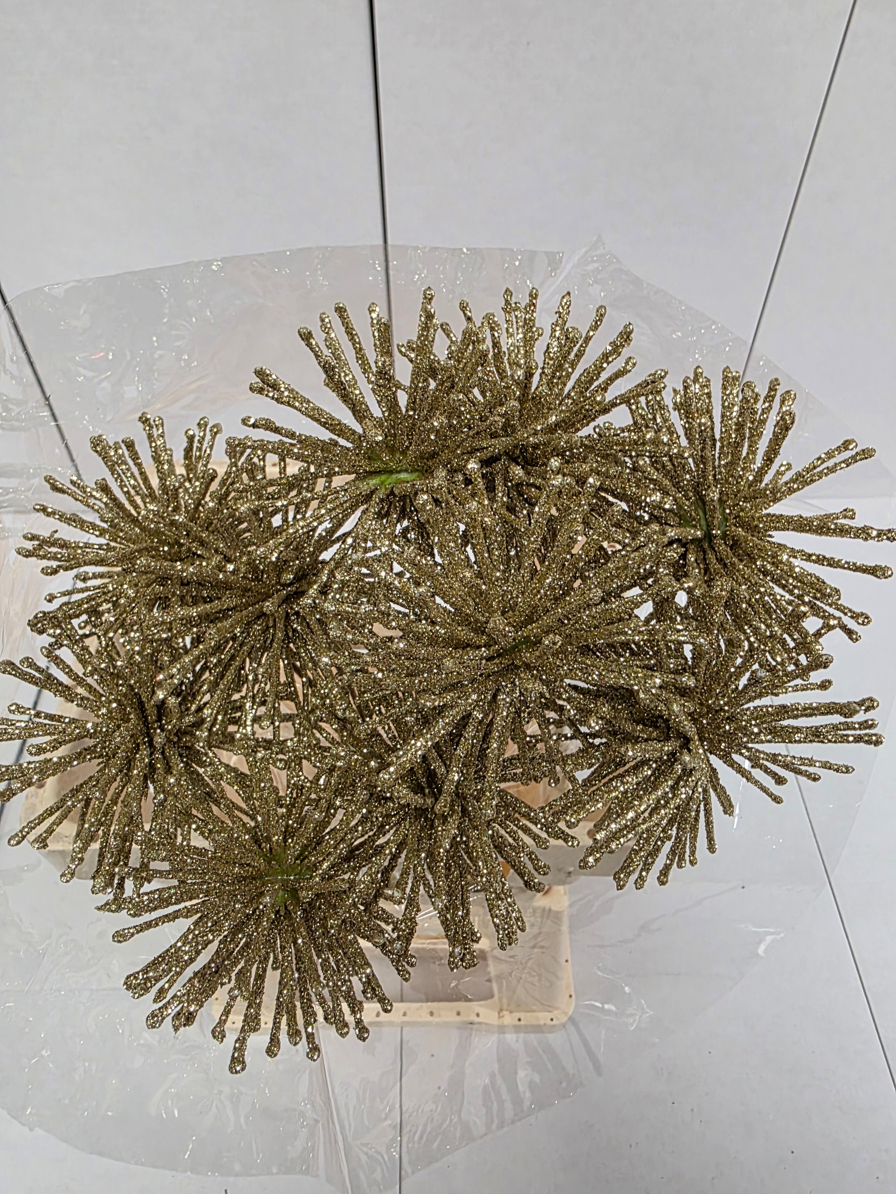 Dried Spider Ball Gold