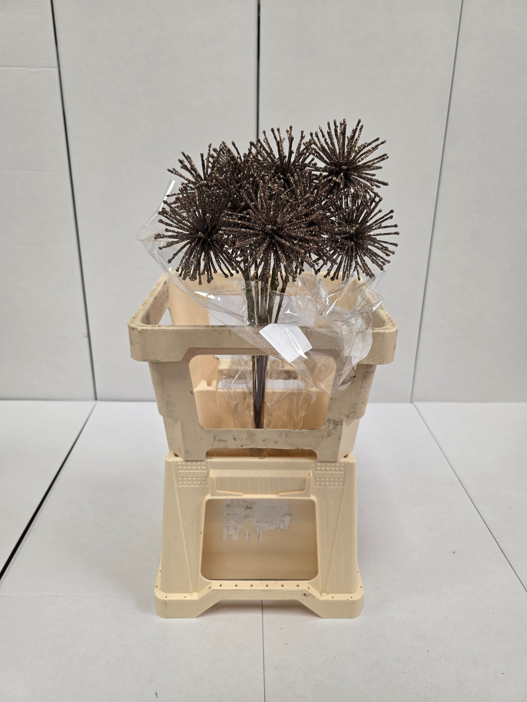 Dried Spider Ball Koper