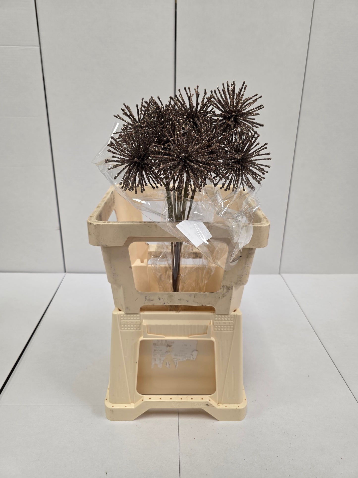 Dried Spider Ball Koper