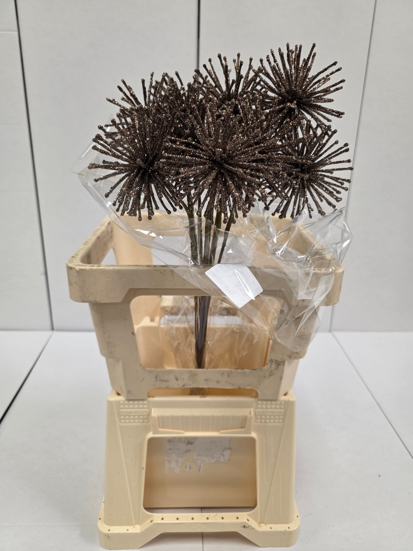 Dried Spider Ball Koper