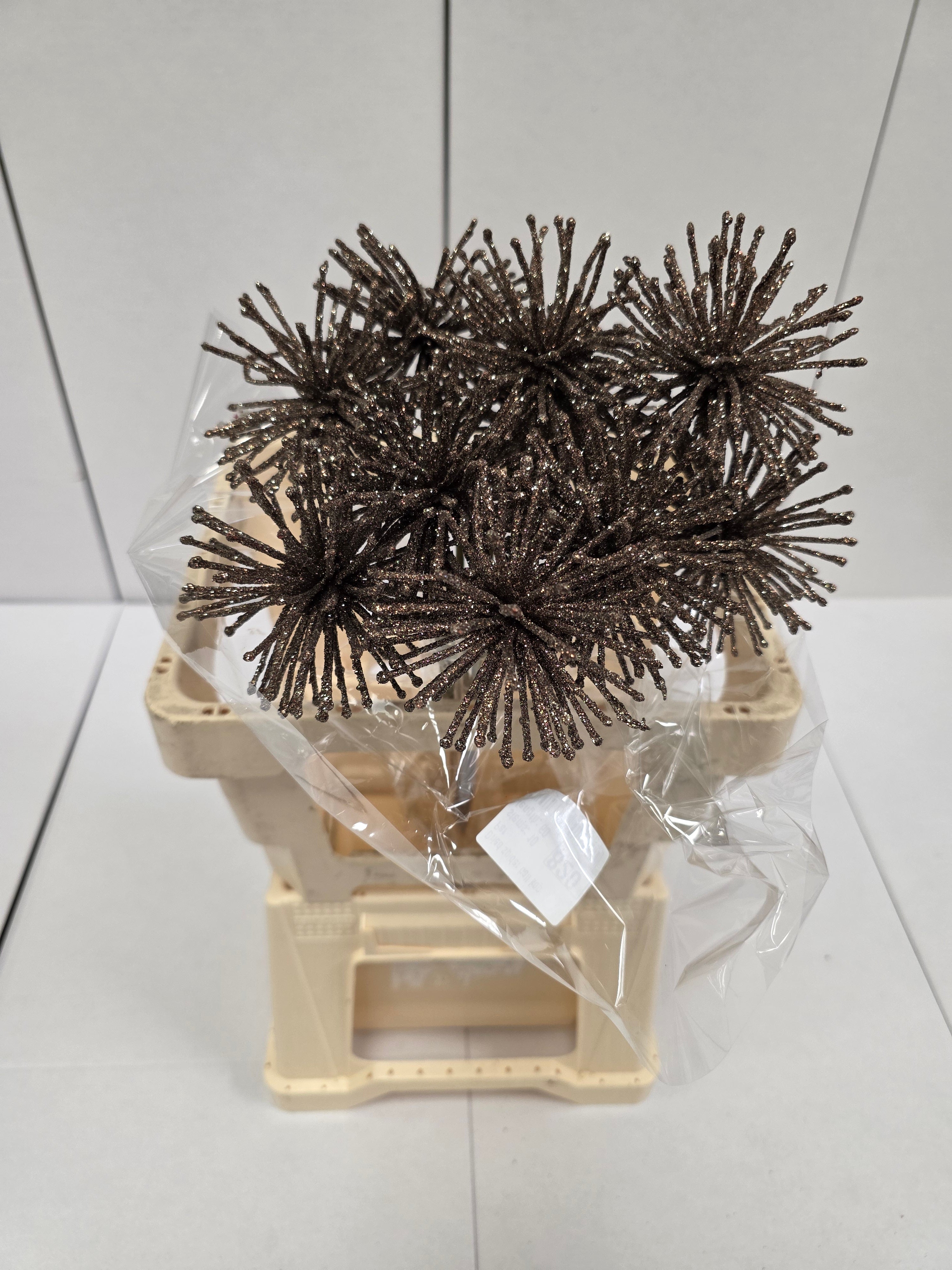 Dried Spider Ball Koper