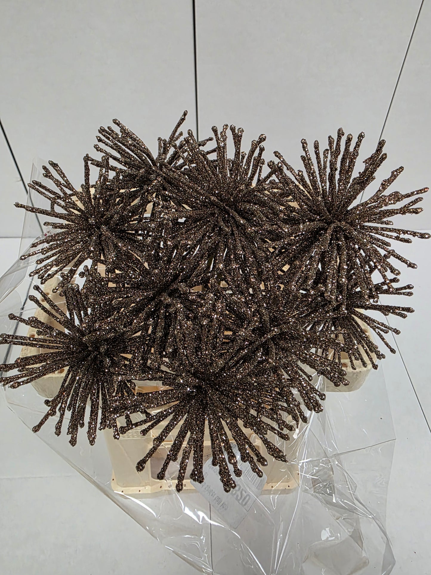 Dried Spider Ball Koper