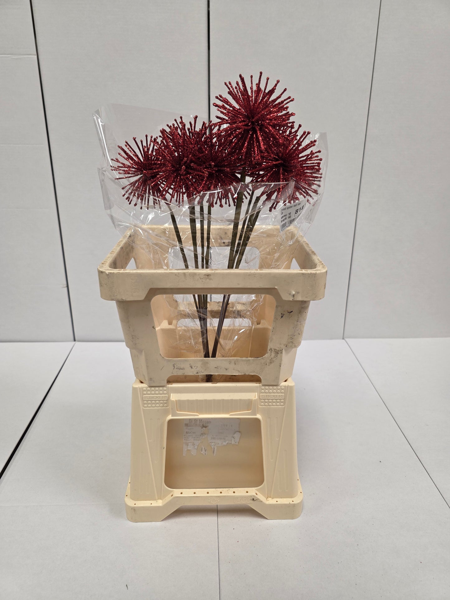 Dried Spider Ball Rood