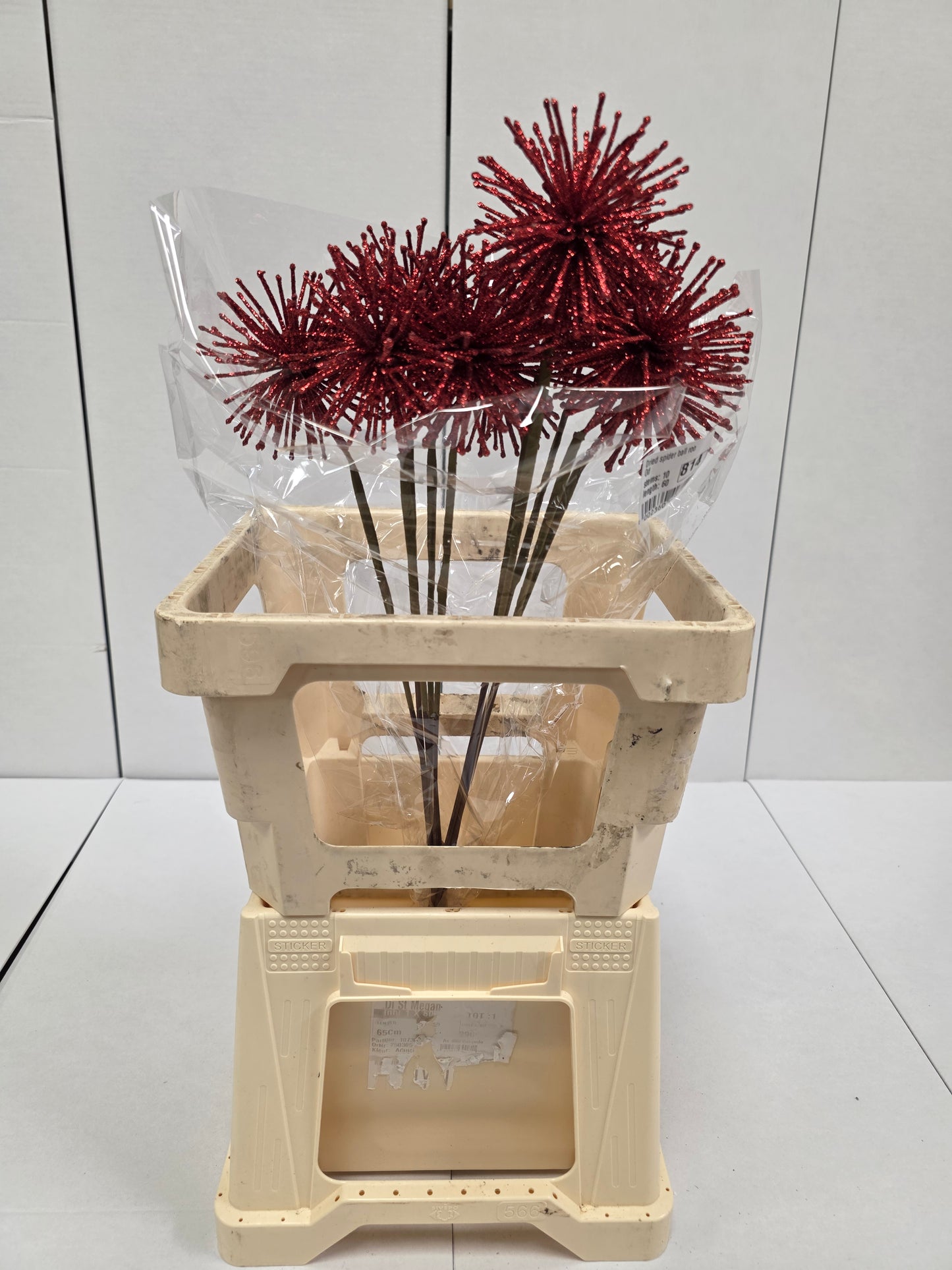 Dried Spider Ball Rood