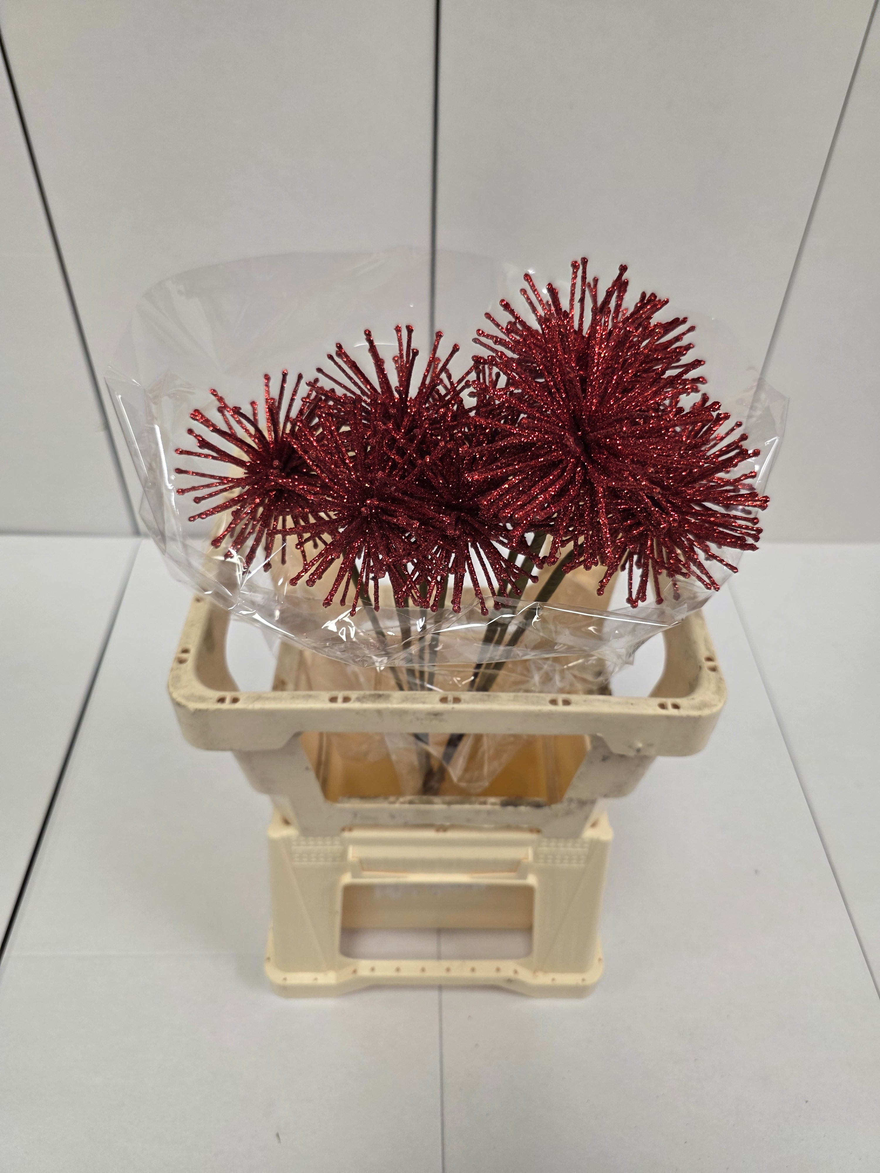Dried Spider Ball Rood