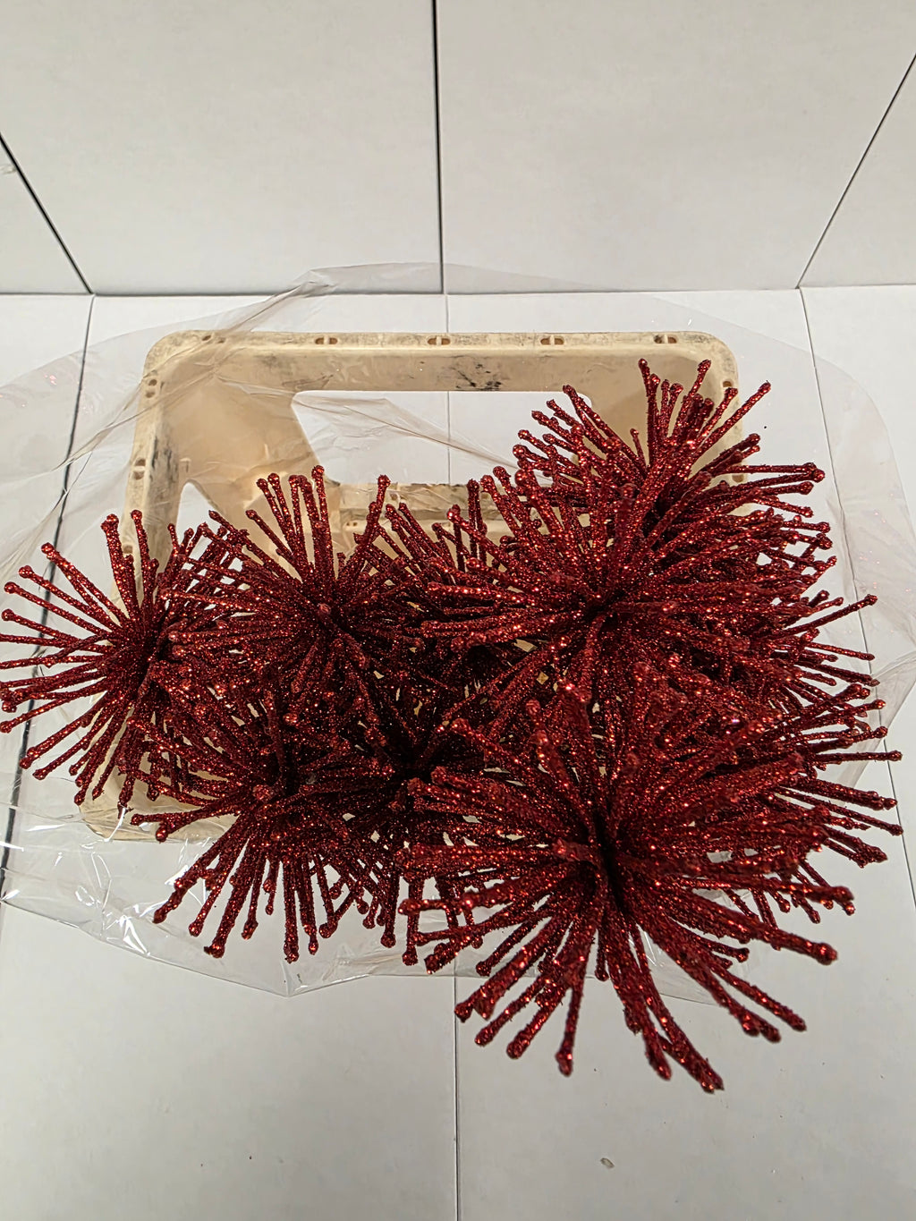 Dried Spider Ball Rood