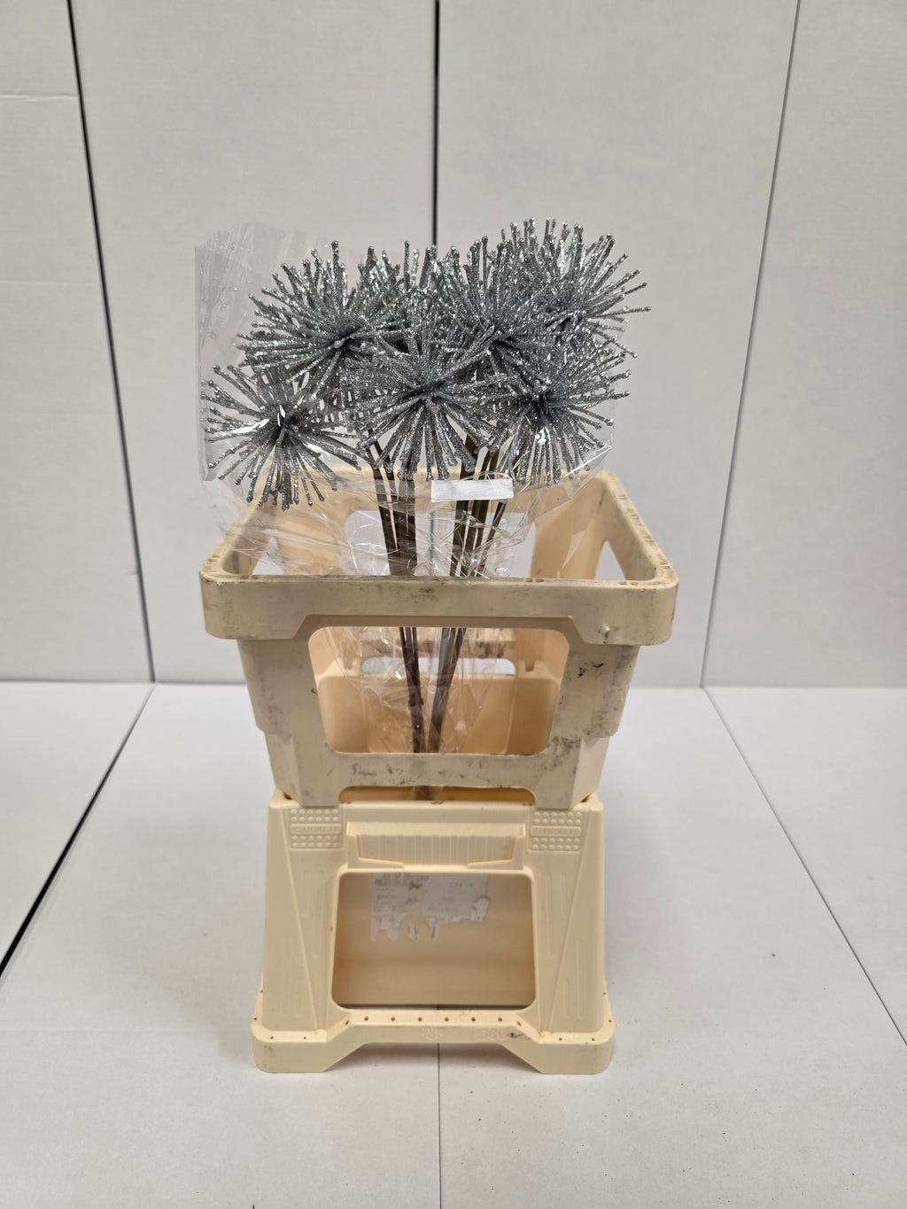 Dried Spider Ball Silver