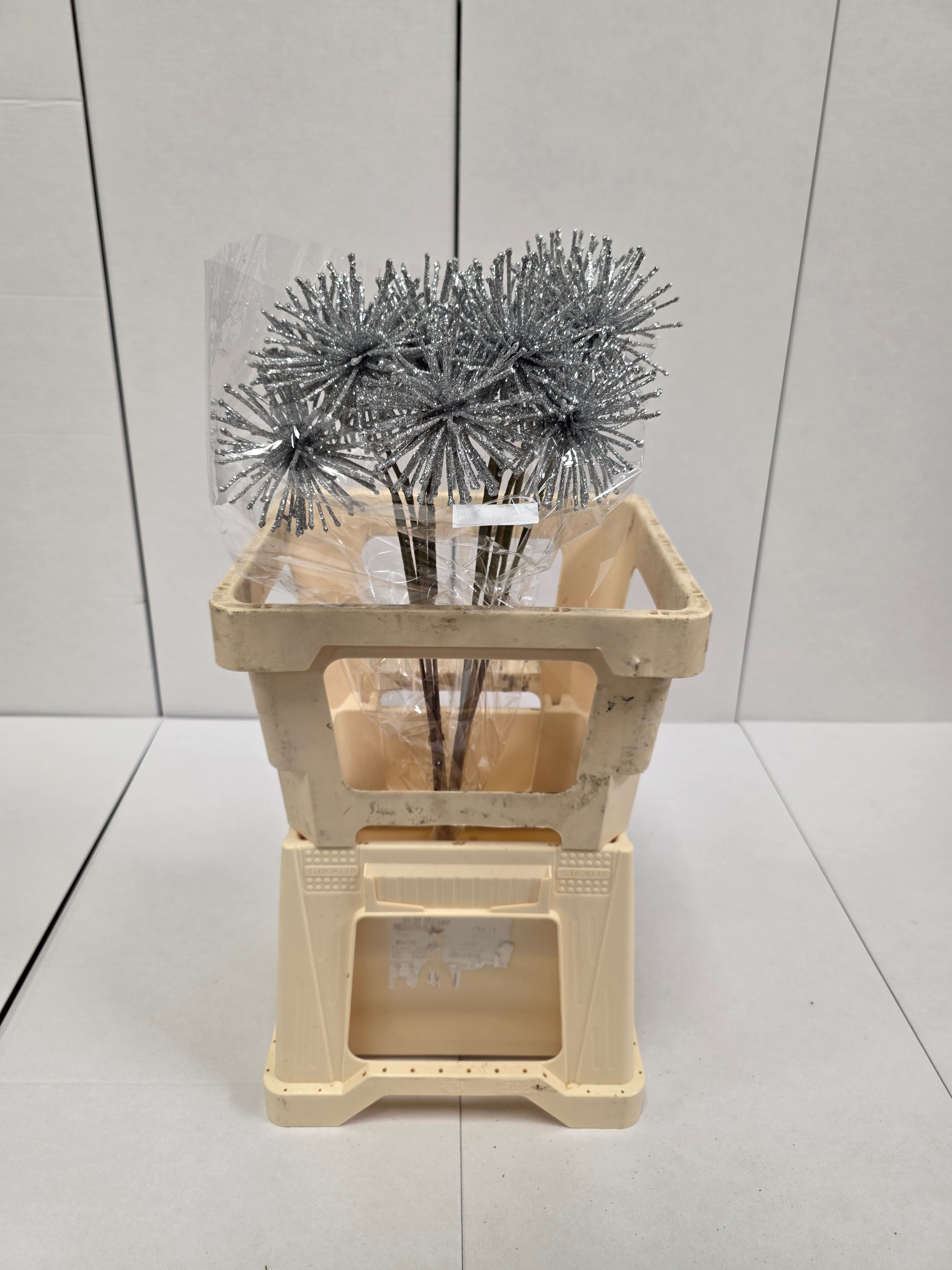 Dried Spider Ball Silver