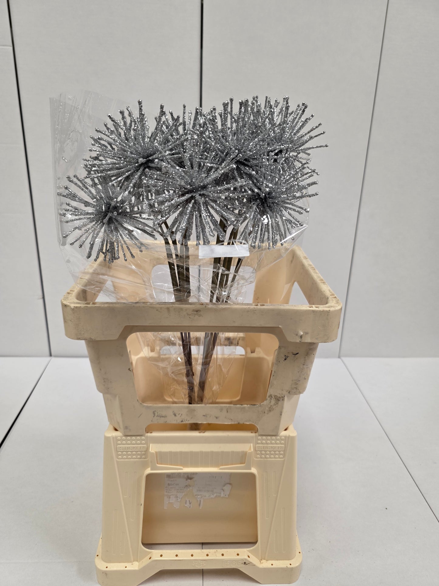 Dried Spider Ball Silver