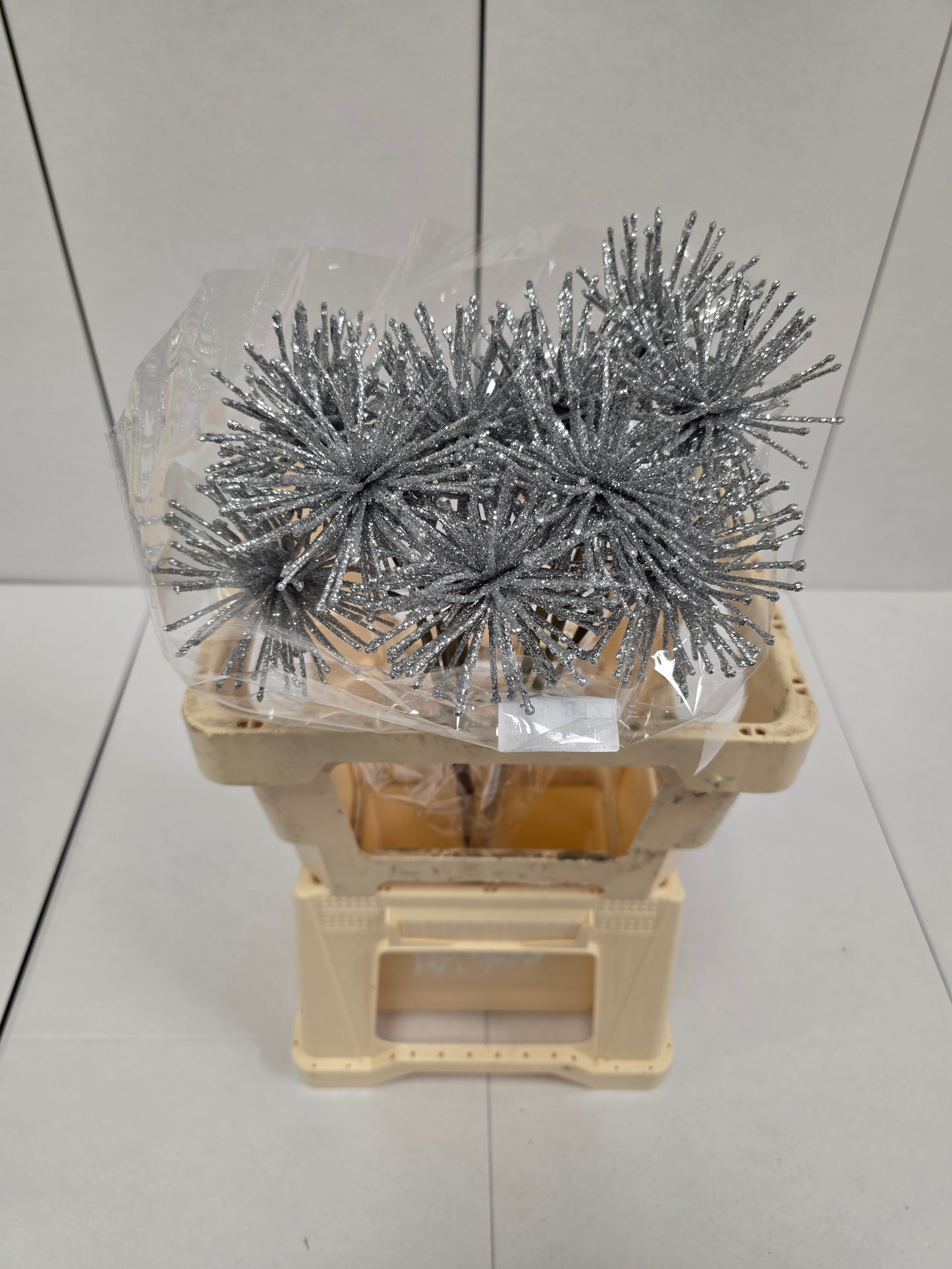 Dried Spider Ball Silver