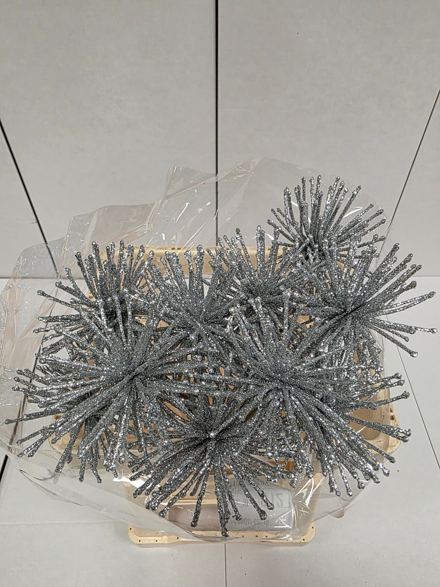 Dried Spider Ball Silver