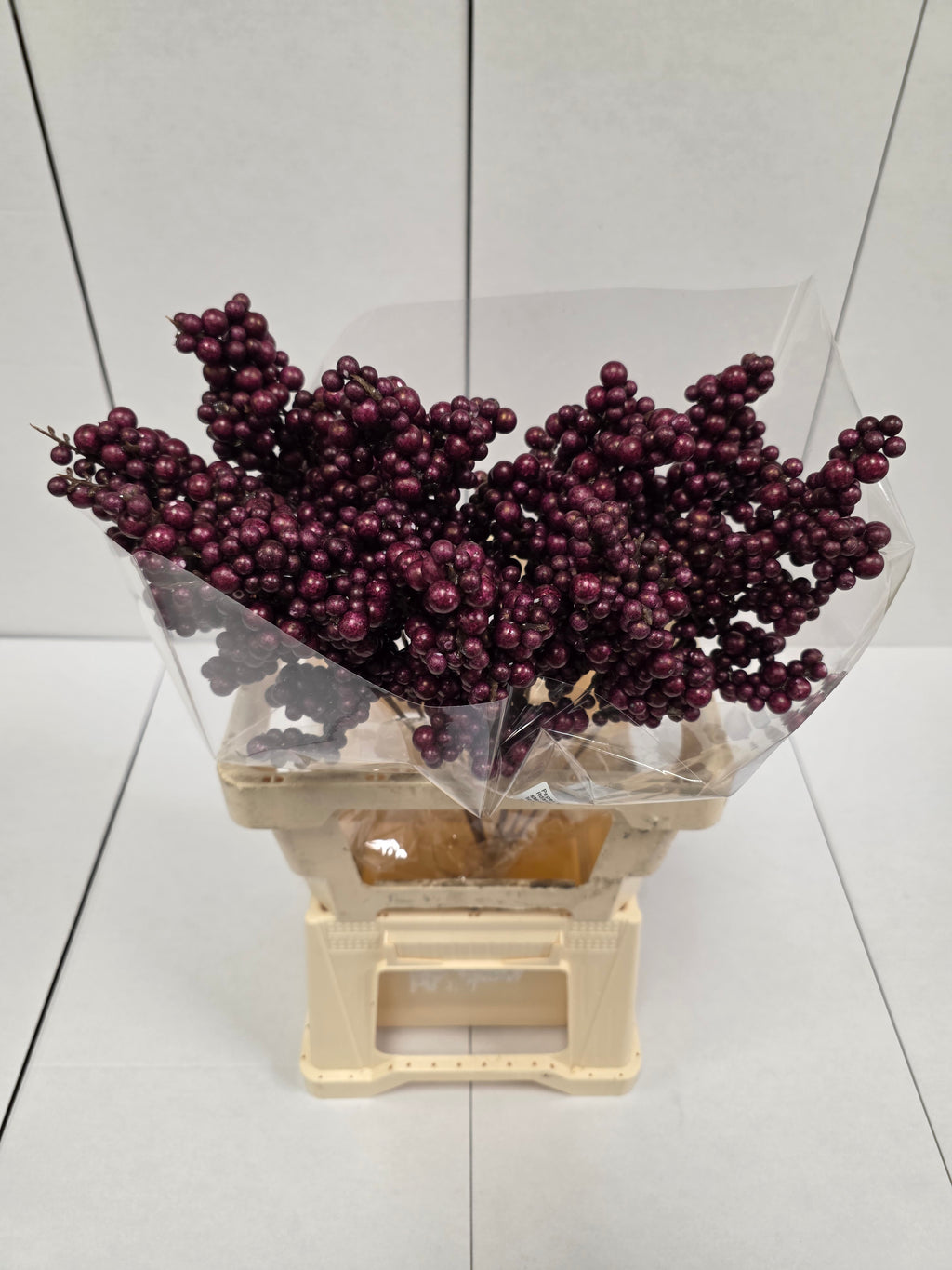 Peper Bes Op Stok Bordaux