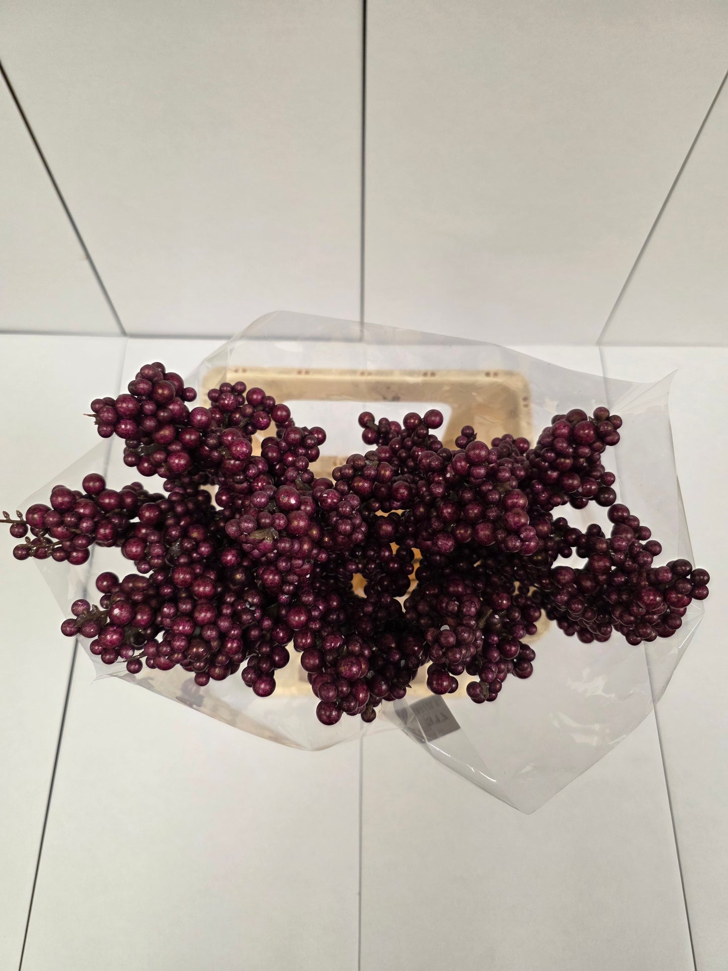 Peper Bes Op Stok Bordaux