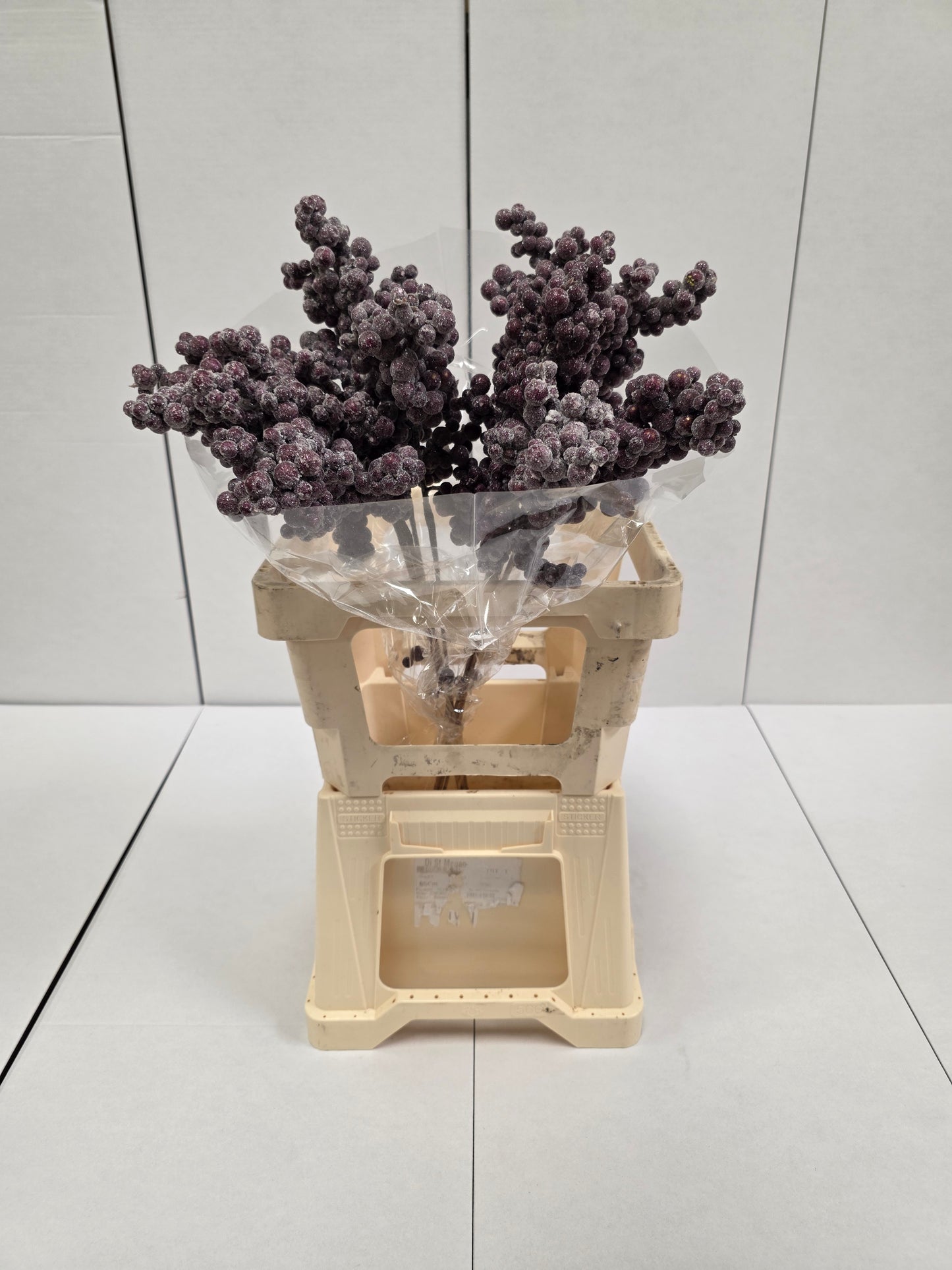 Peper Bes Op Stok Icy Paars