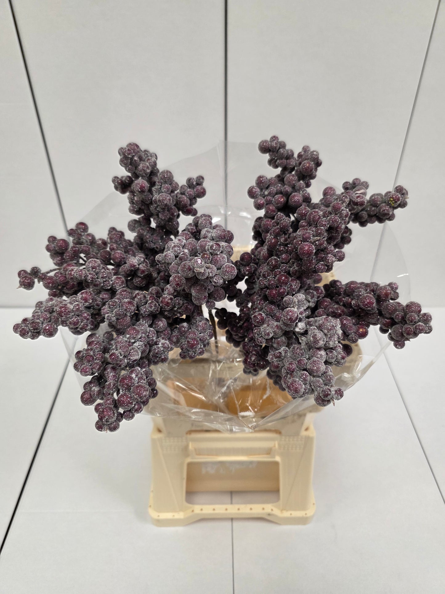 Peper Bes Op Stok Icy Paars