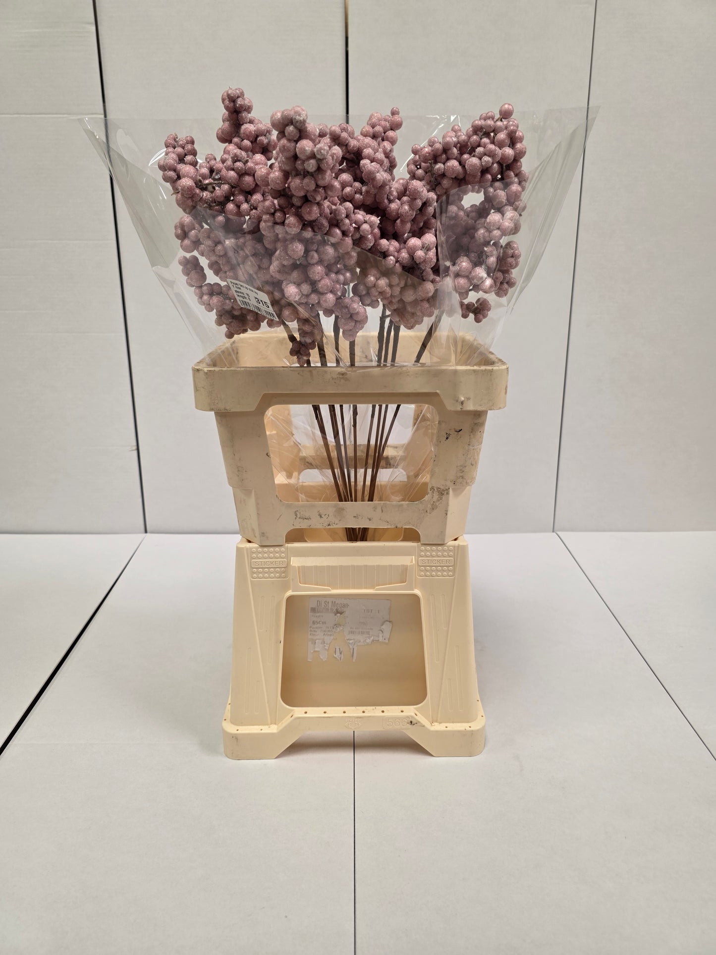 Peper Bes Op Stok Icy Rose