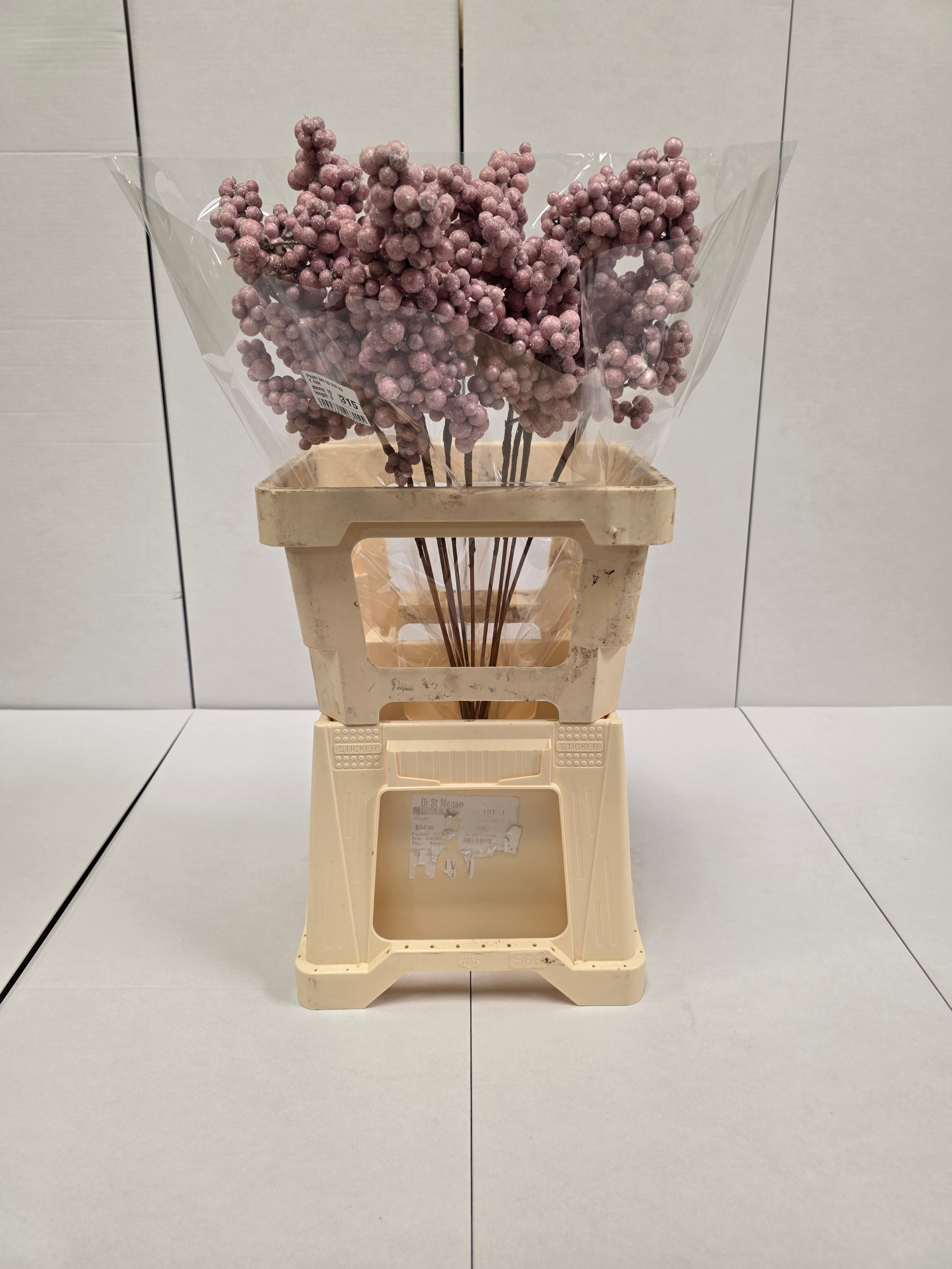 Peper Bes Op Stok Icy Rose