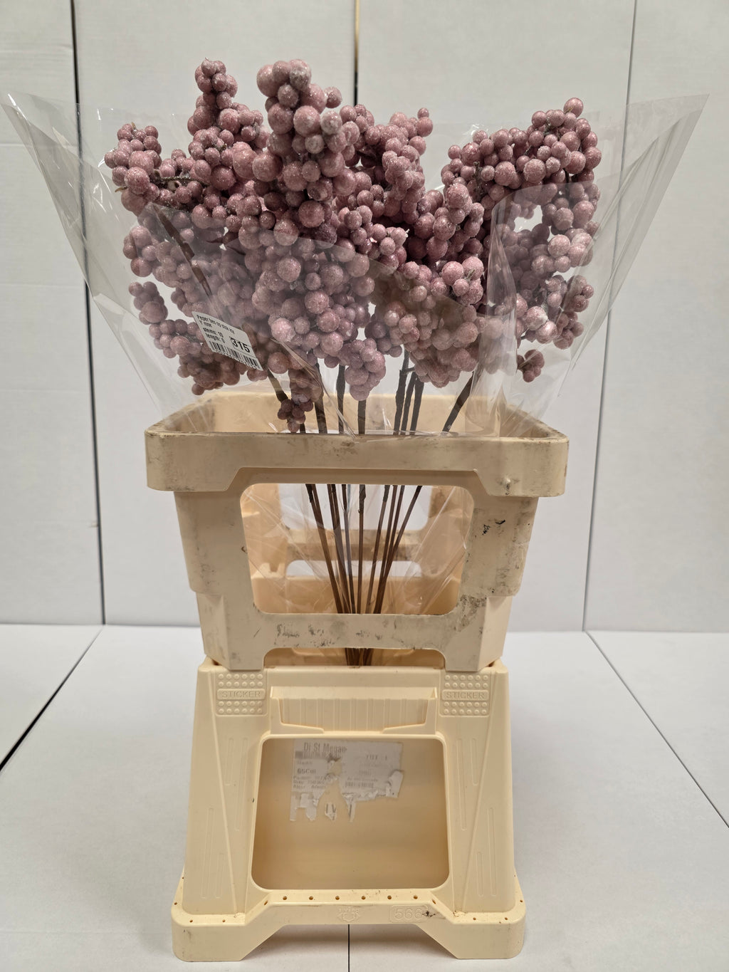 Peper Bes Op Stok Icy Rose